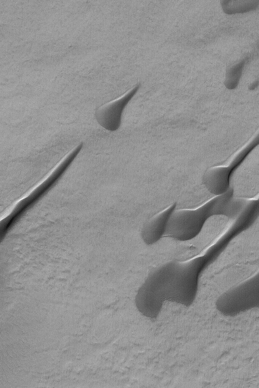 Martian Dunes