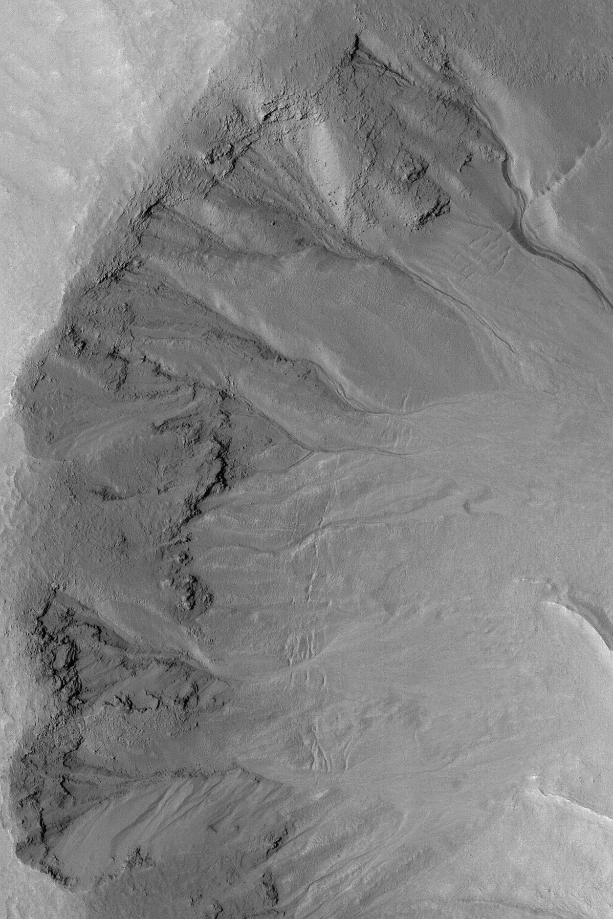 Martian Gullies