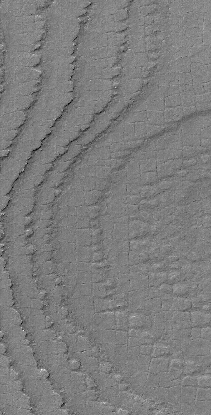 South Polar Terrain
