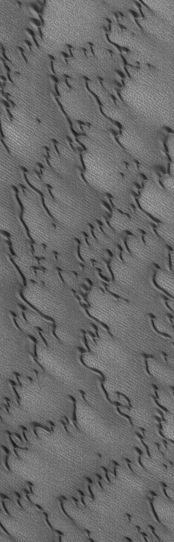 Martian Sand Dunes