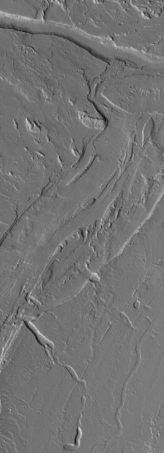 Tharsis Channels