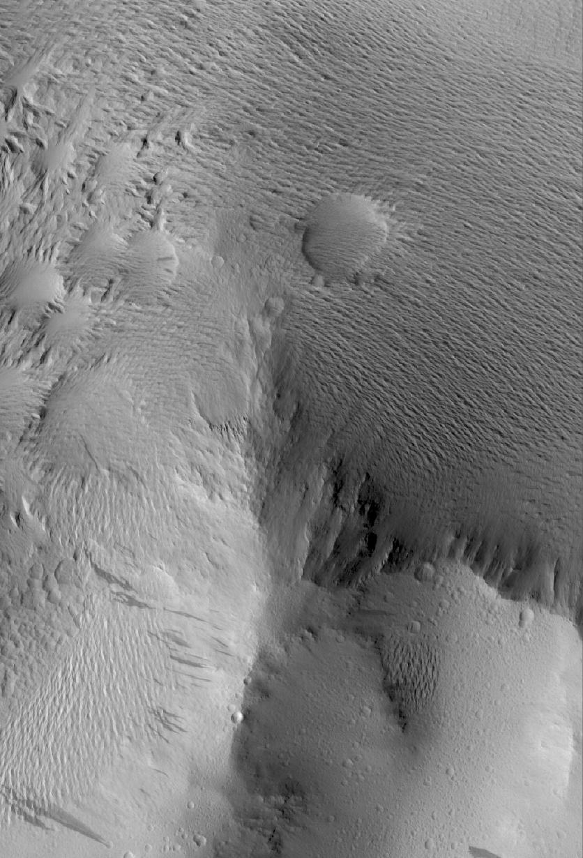 Lycus Sulci Terrain
