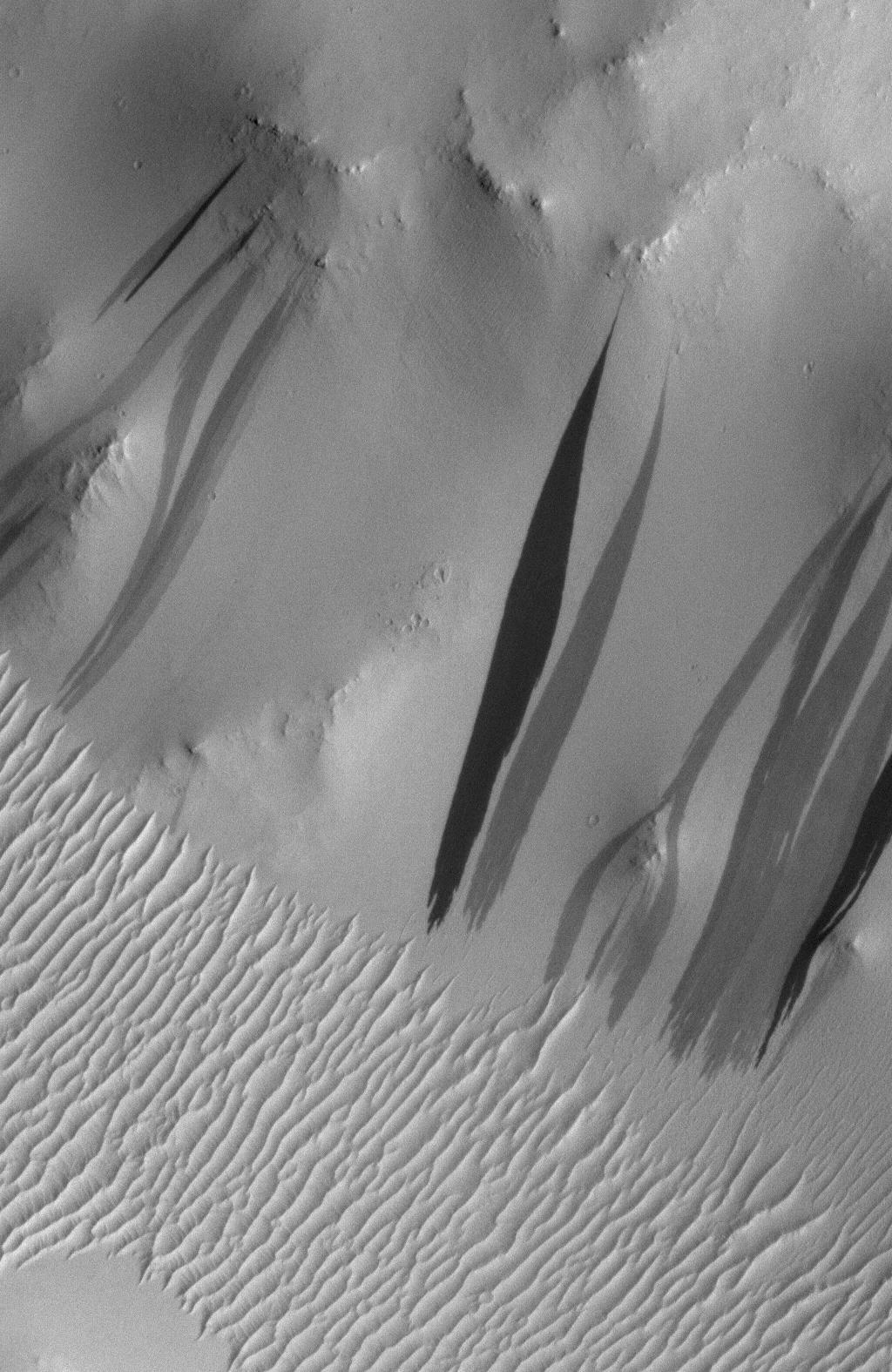 Why the New Gully Deposits are Not Dry Dust Slope Streaks