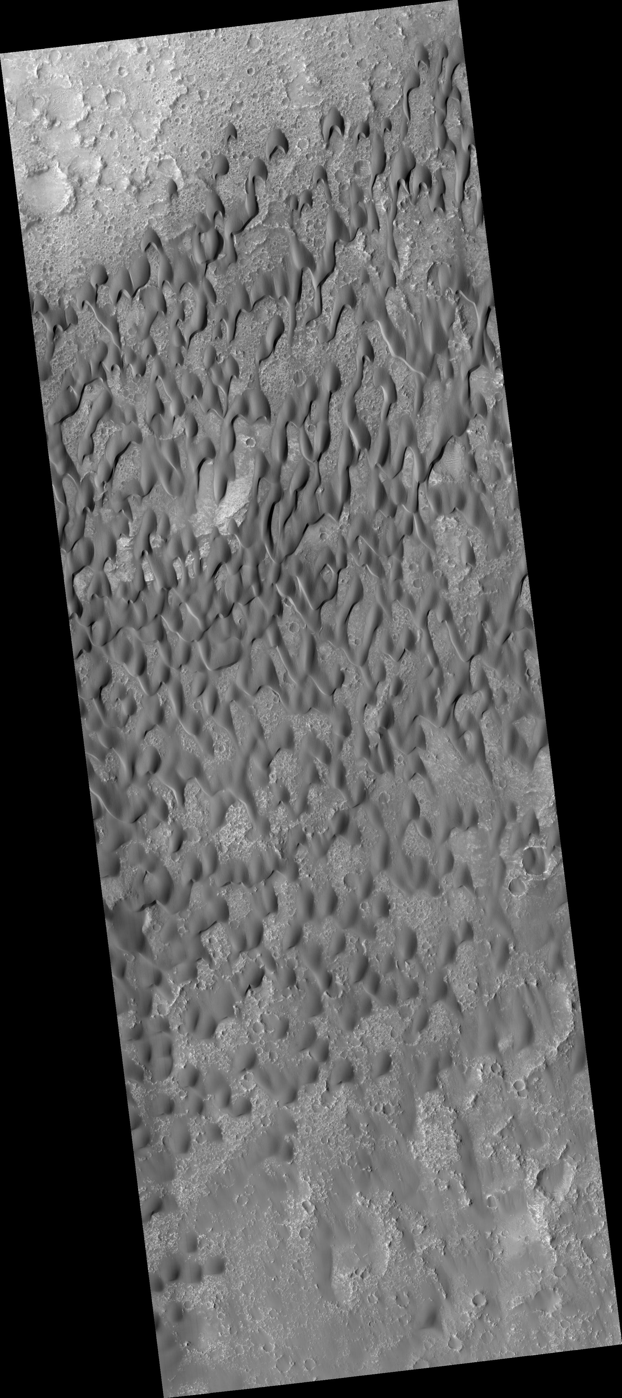 Dark Dunes in Herschel Crater