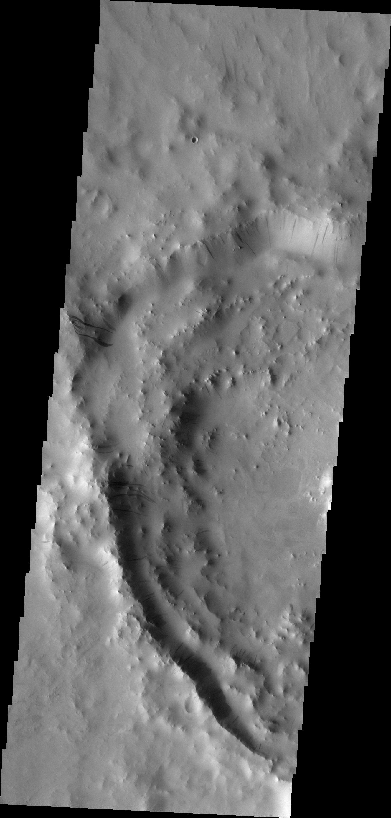 Dark Slope Streaks