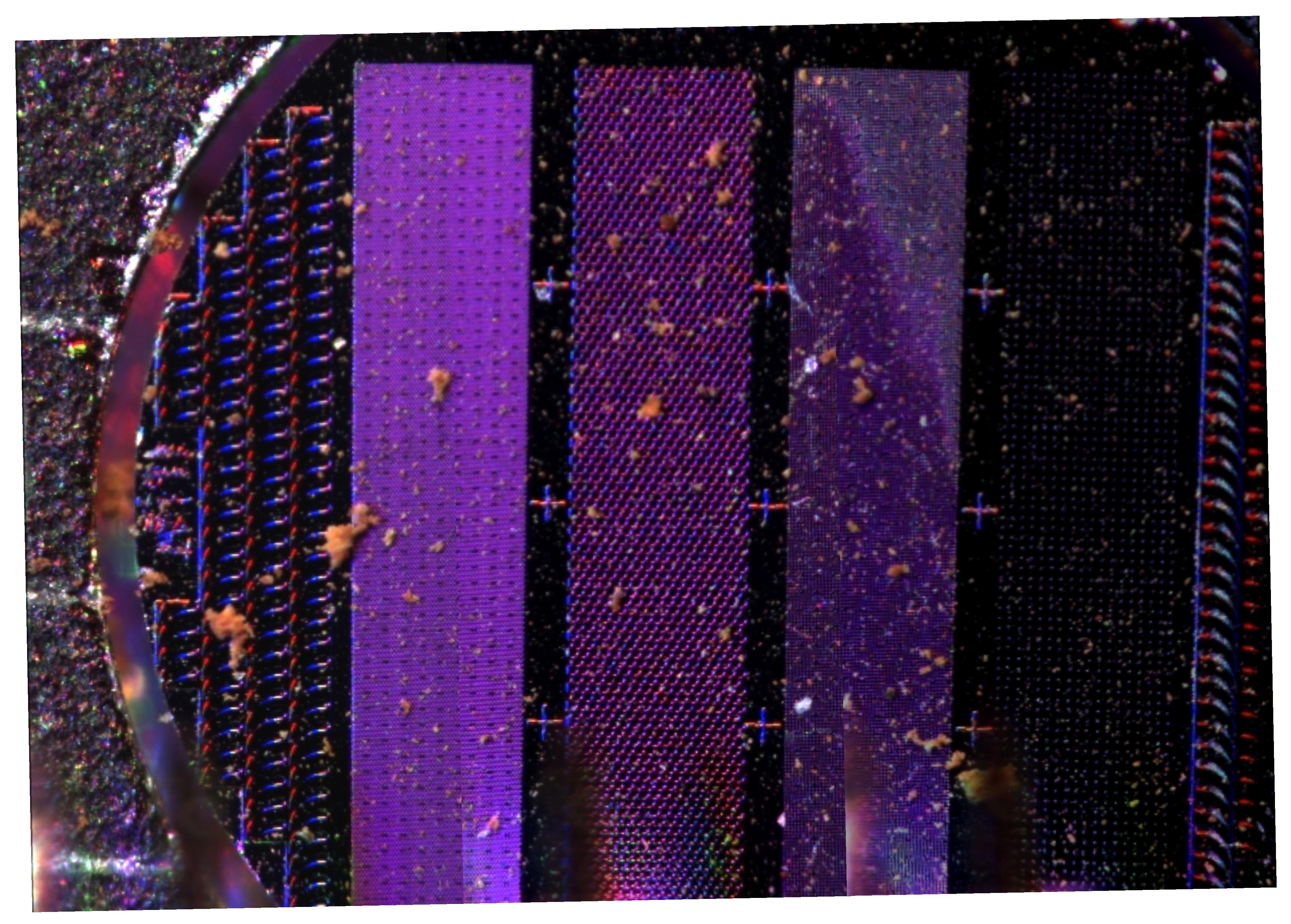 Martian Dust Collected by Phoenix Arm