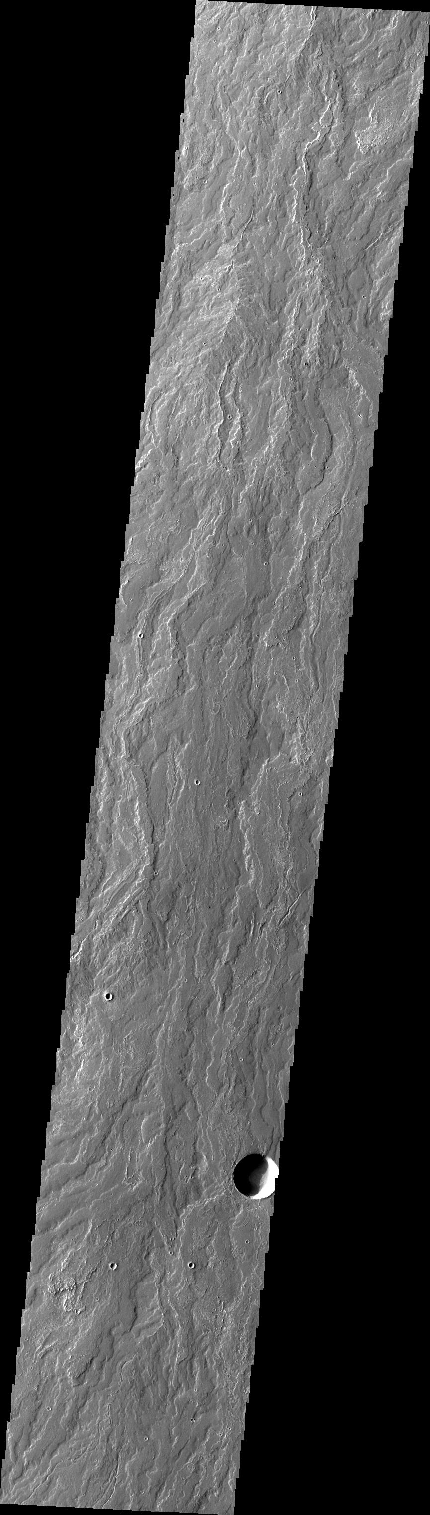 Daedalia Planum
