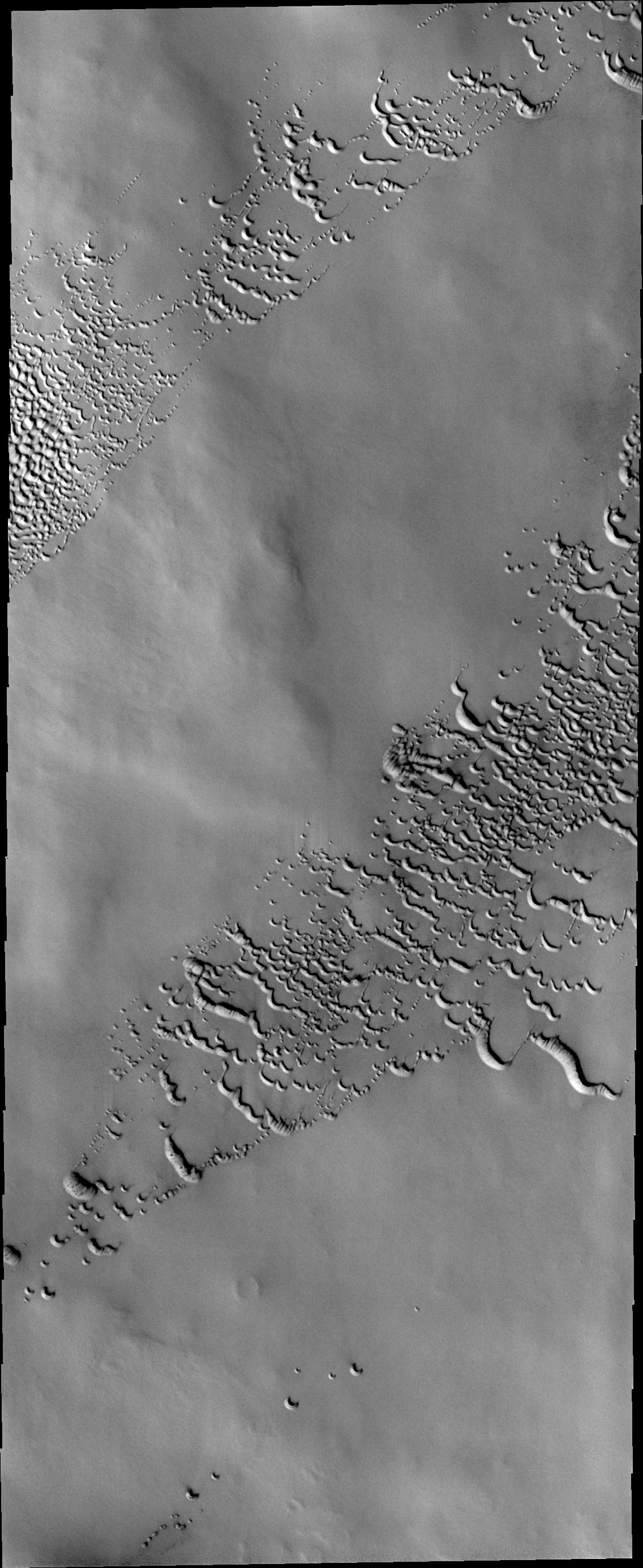 North Polar Dunes