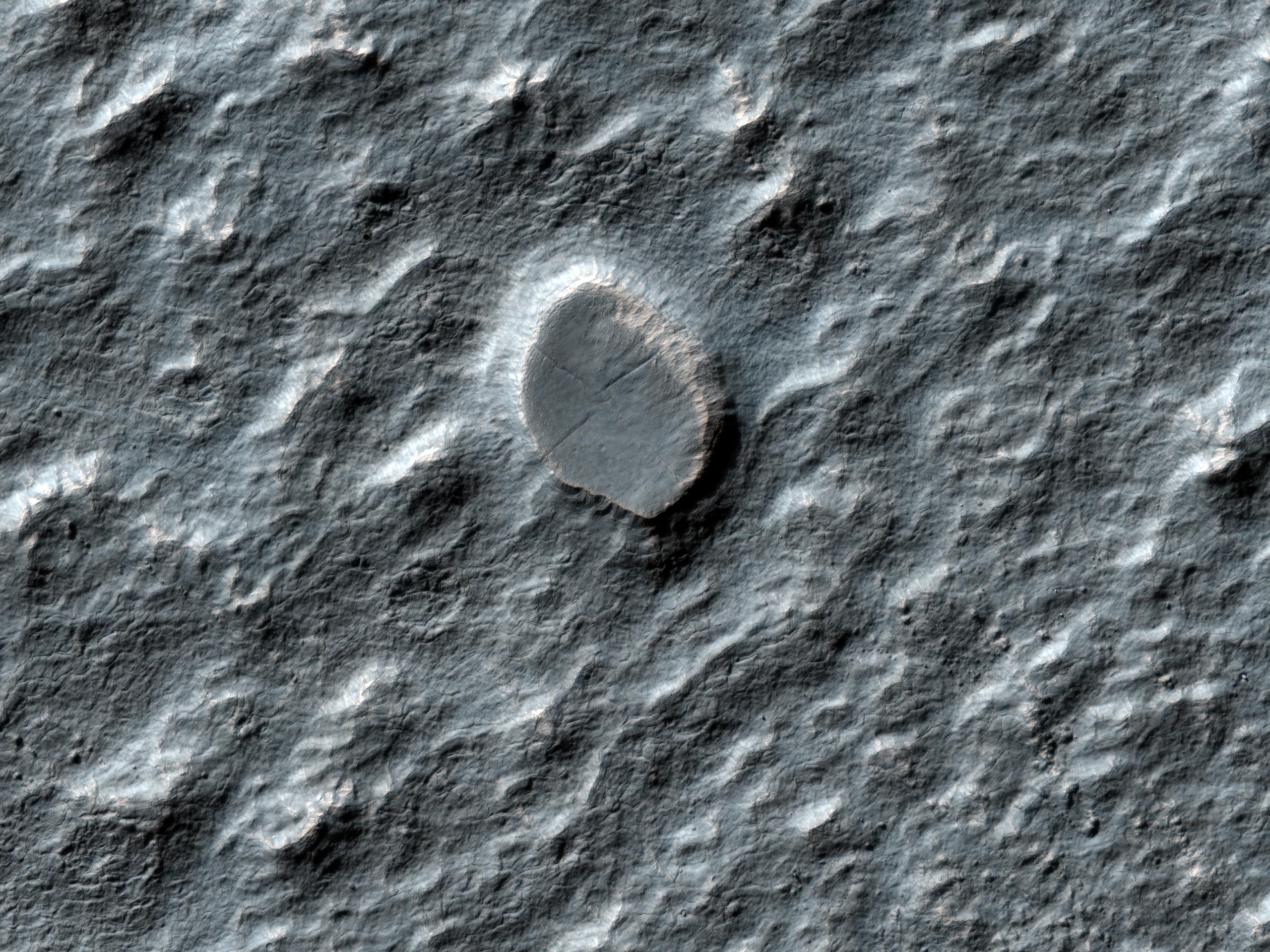 Craters on an Ice-Rich Débris Apron