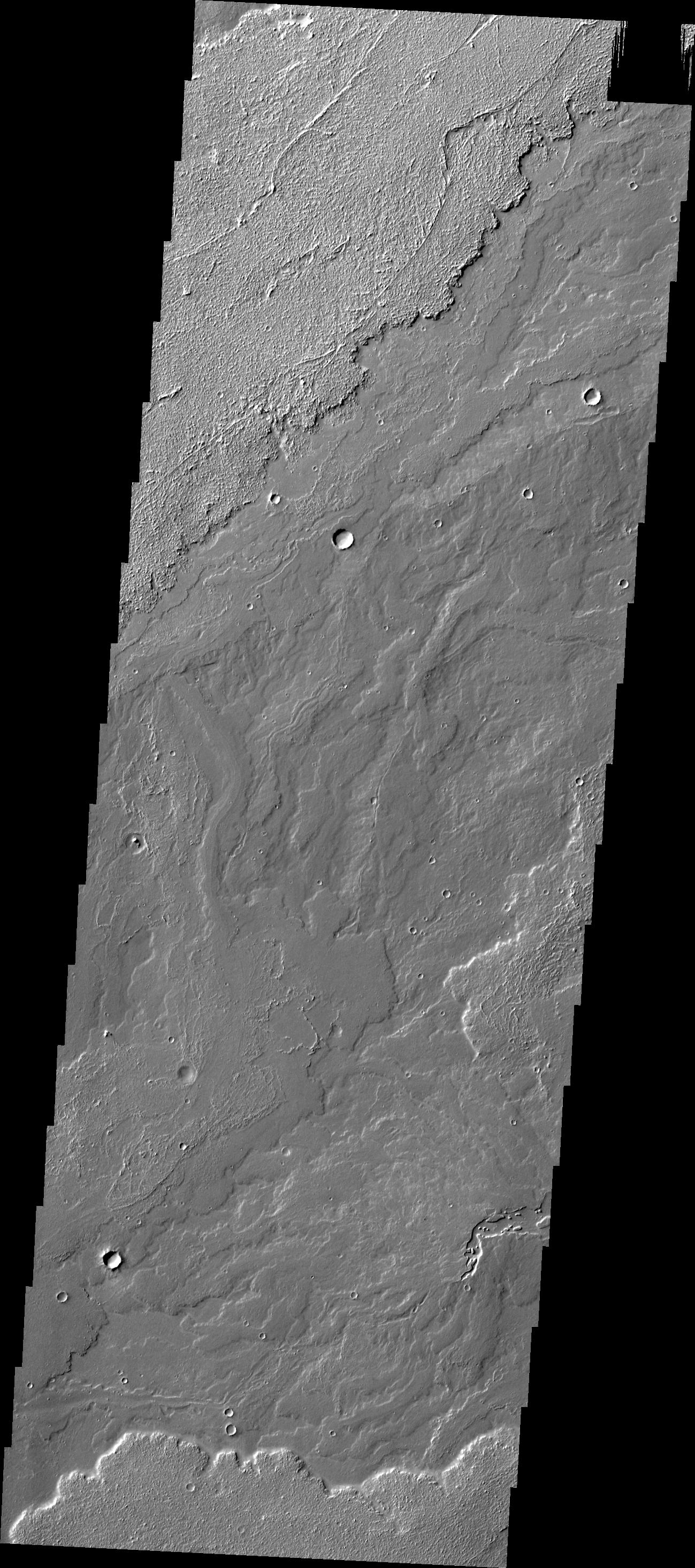 Daedalia Planum