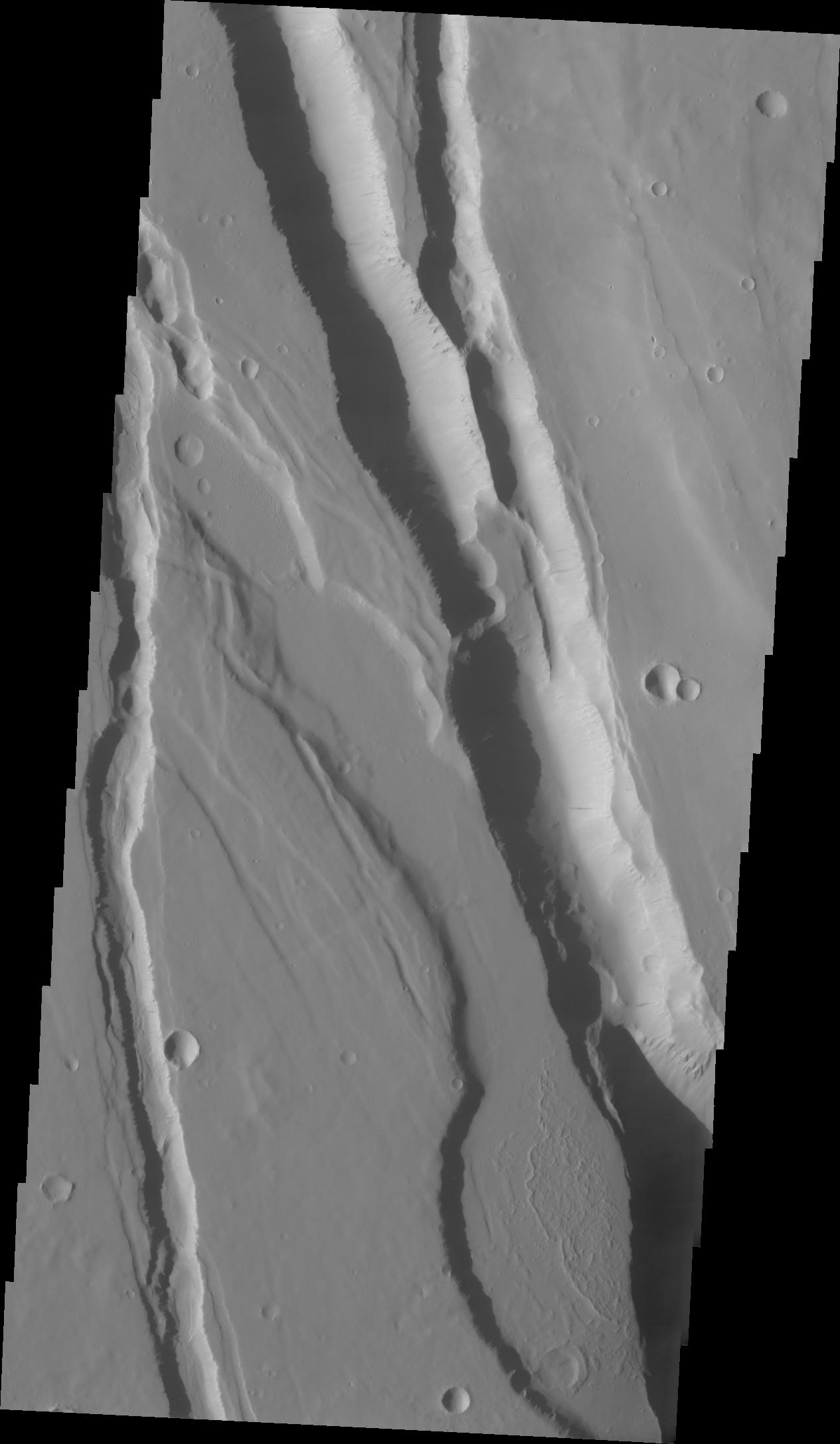 Elysium Chasma
