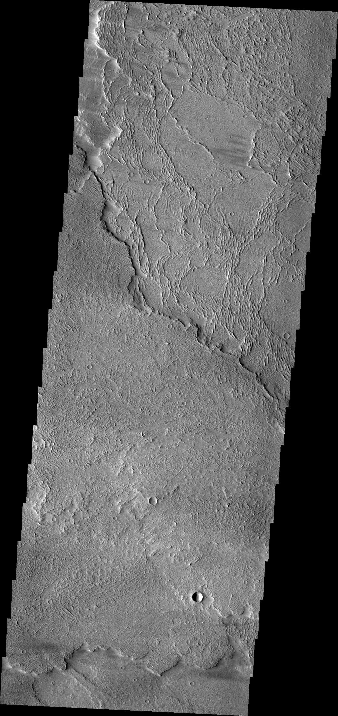 Daedalia Planum