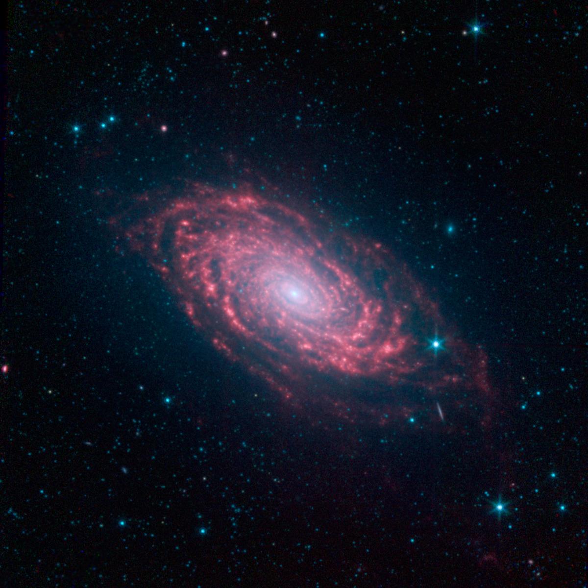 Spitzer Sunflower Galaxy