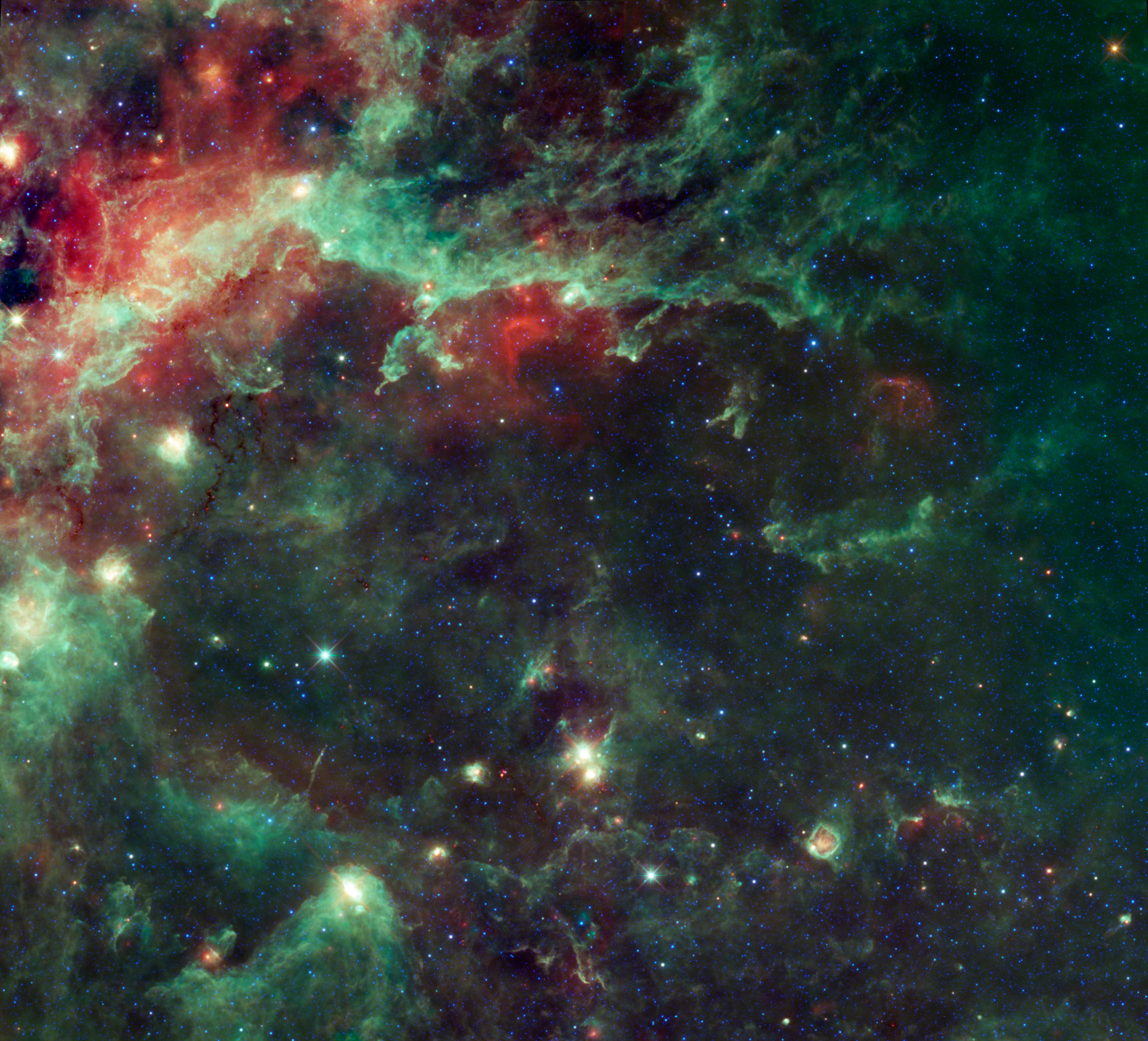 Star Formation in the Heart of the Swan