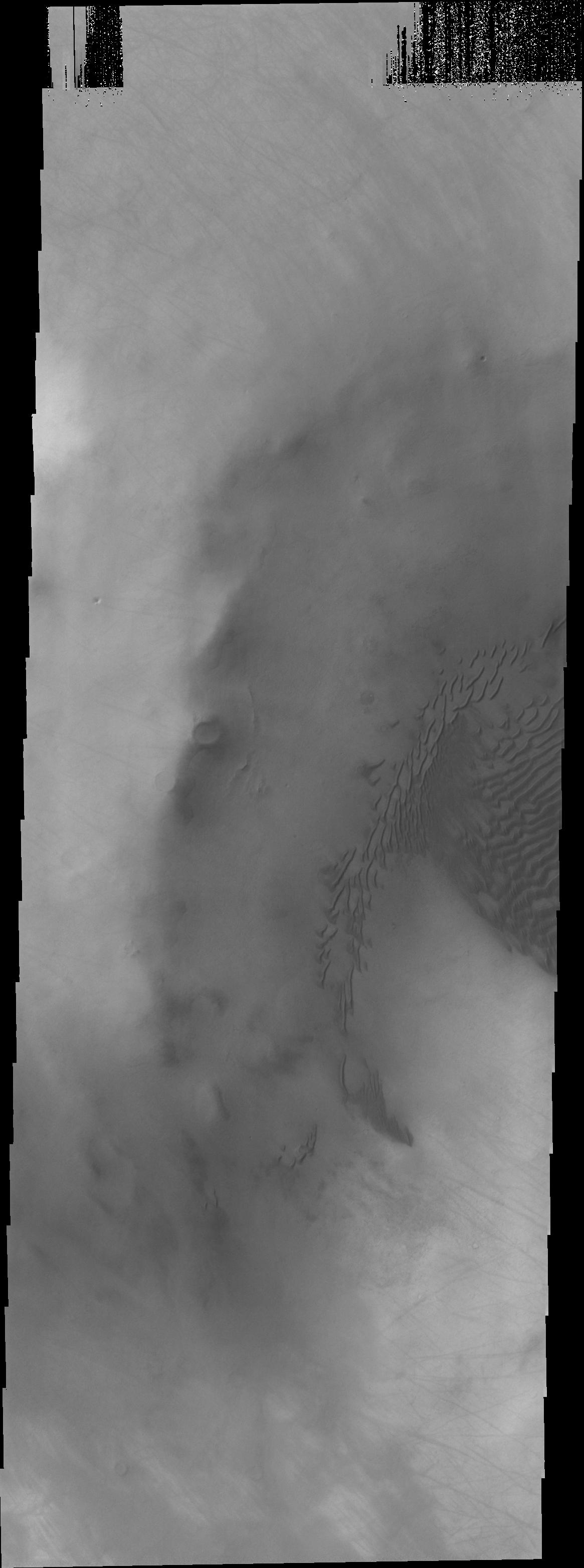 Dunes in Terra Sirenum