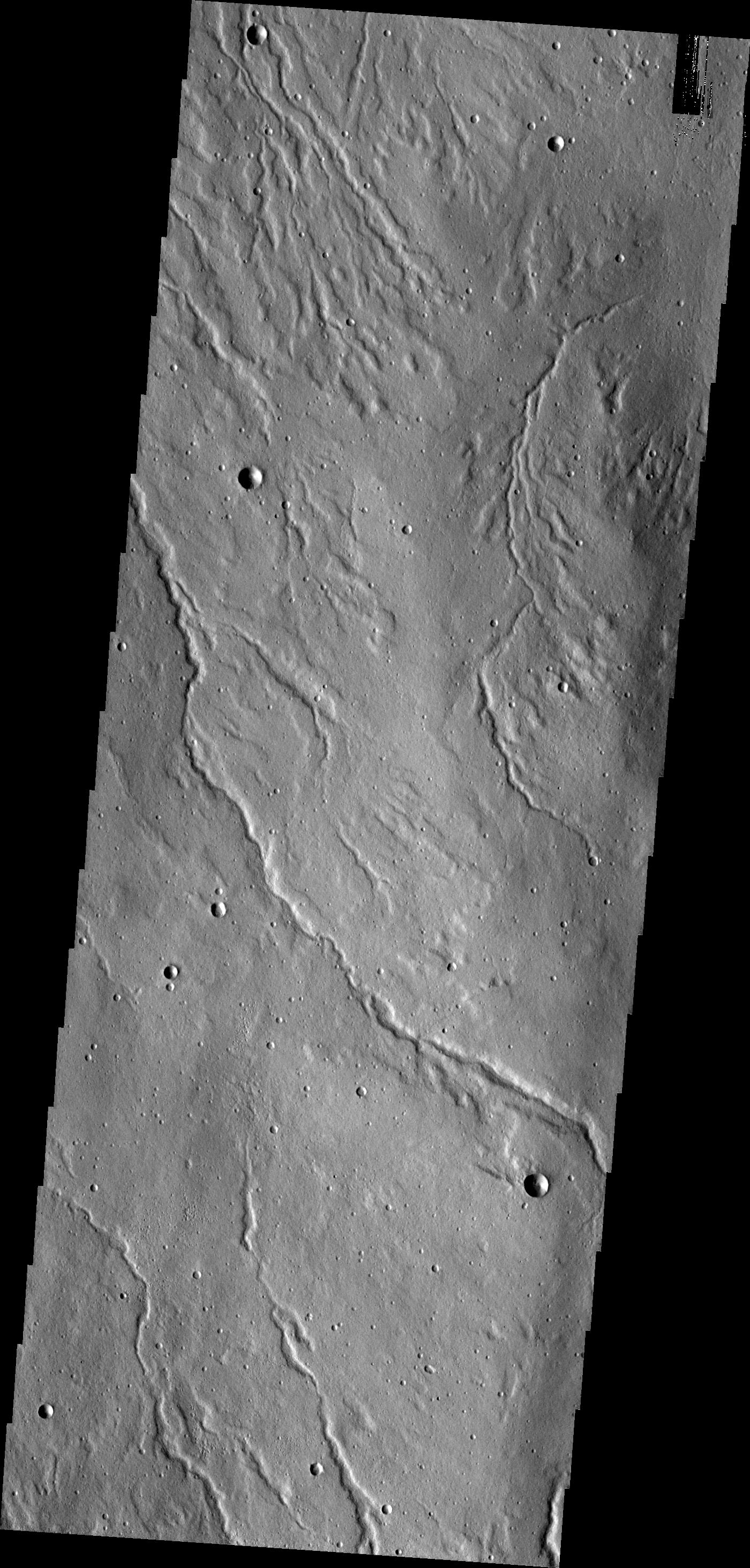 Alba Mons Channels
