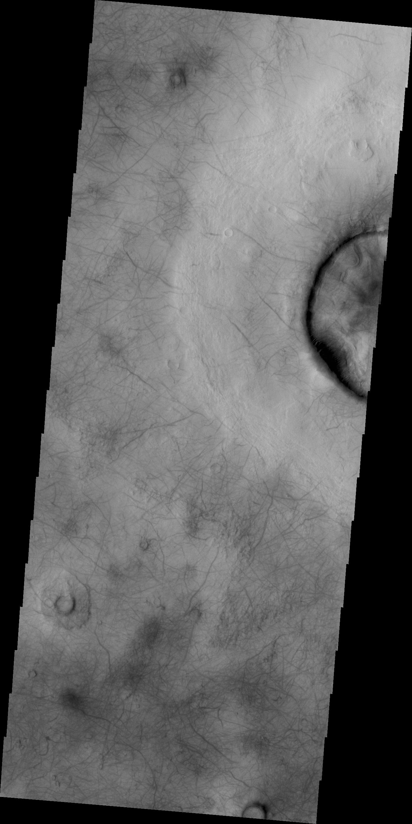 Dust Devil Tracks