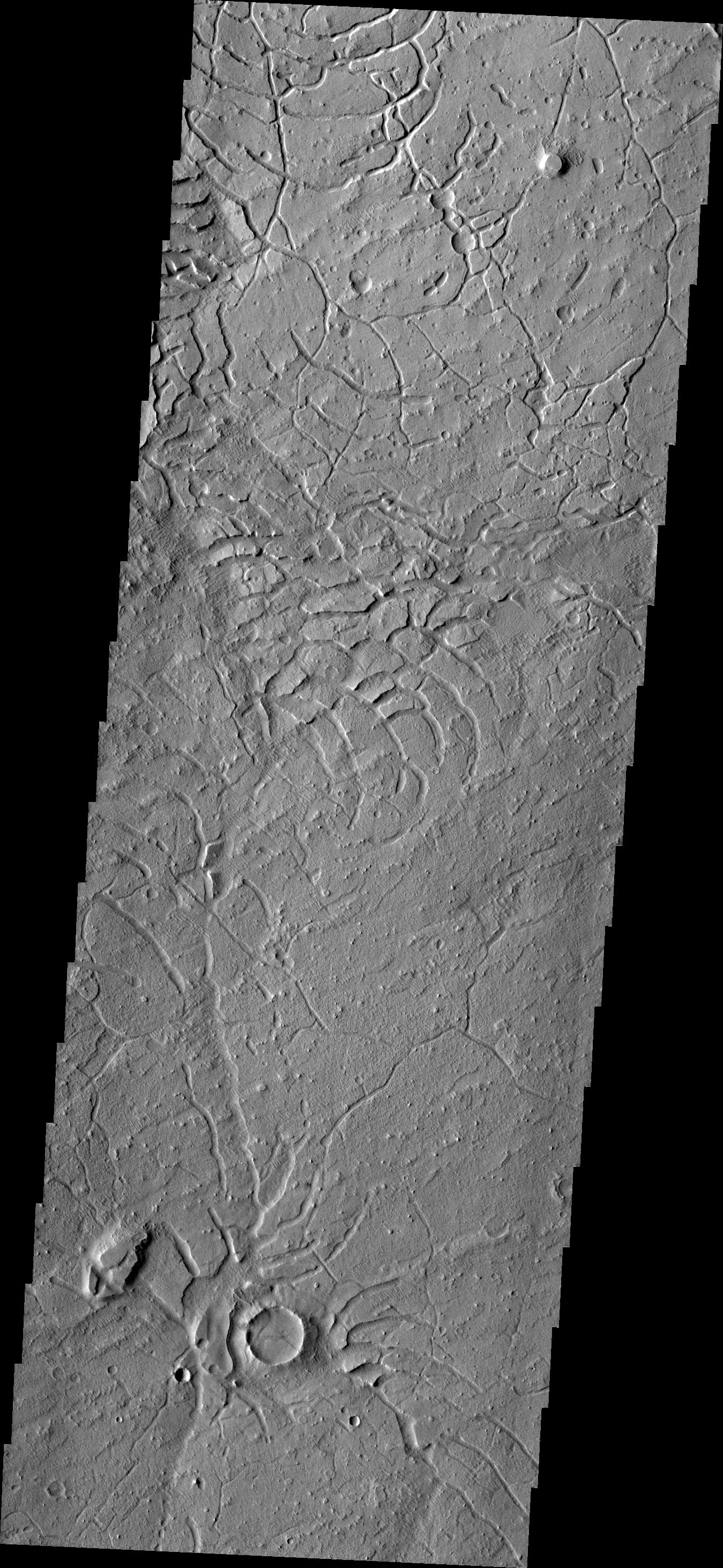 Arcuate Fratures