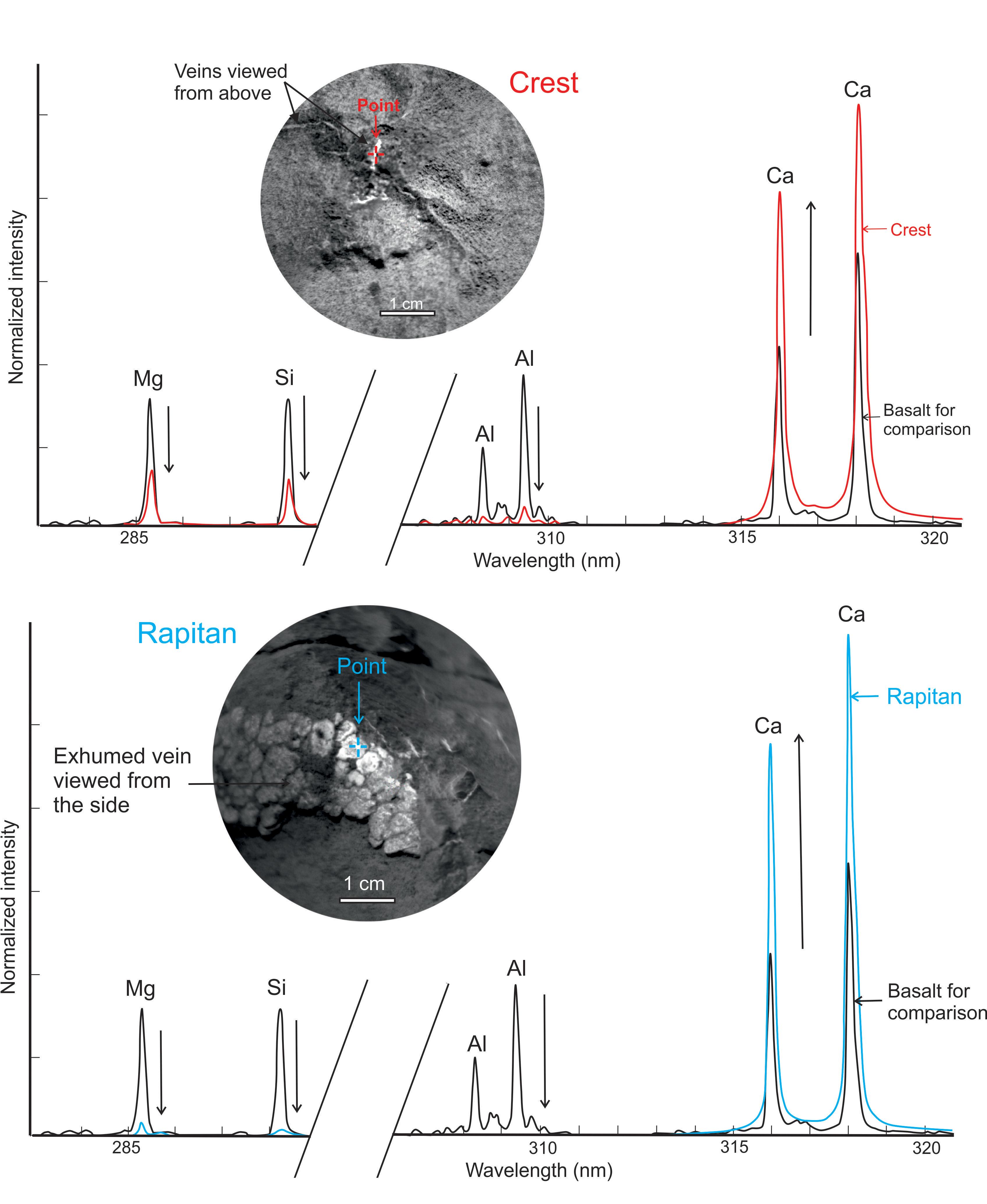 Calcium-Rich Veins in Martian Rocks