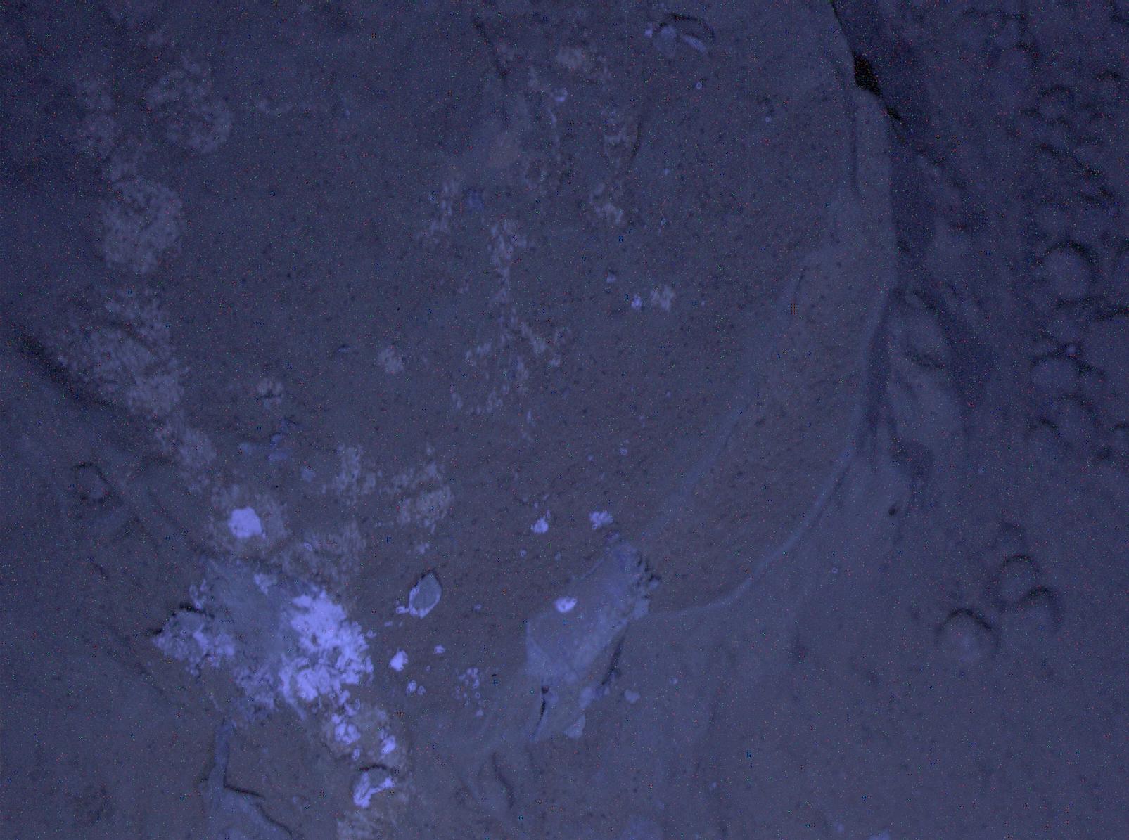 MAHLI First Night Imaging of Martian Rock Under Ultraviolet Lighting