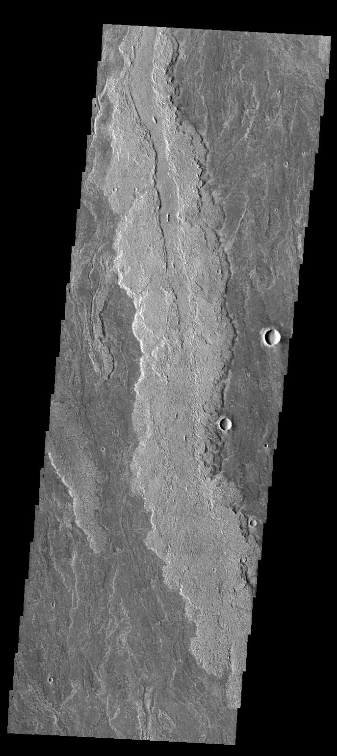 Daedalia Planum