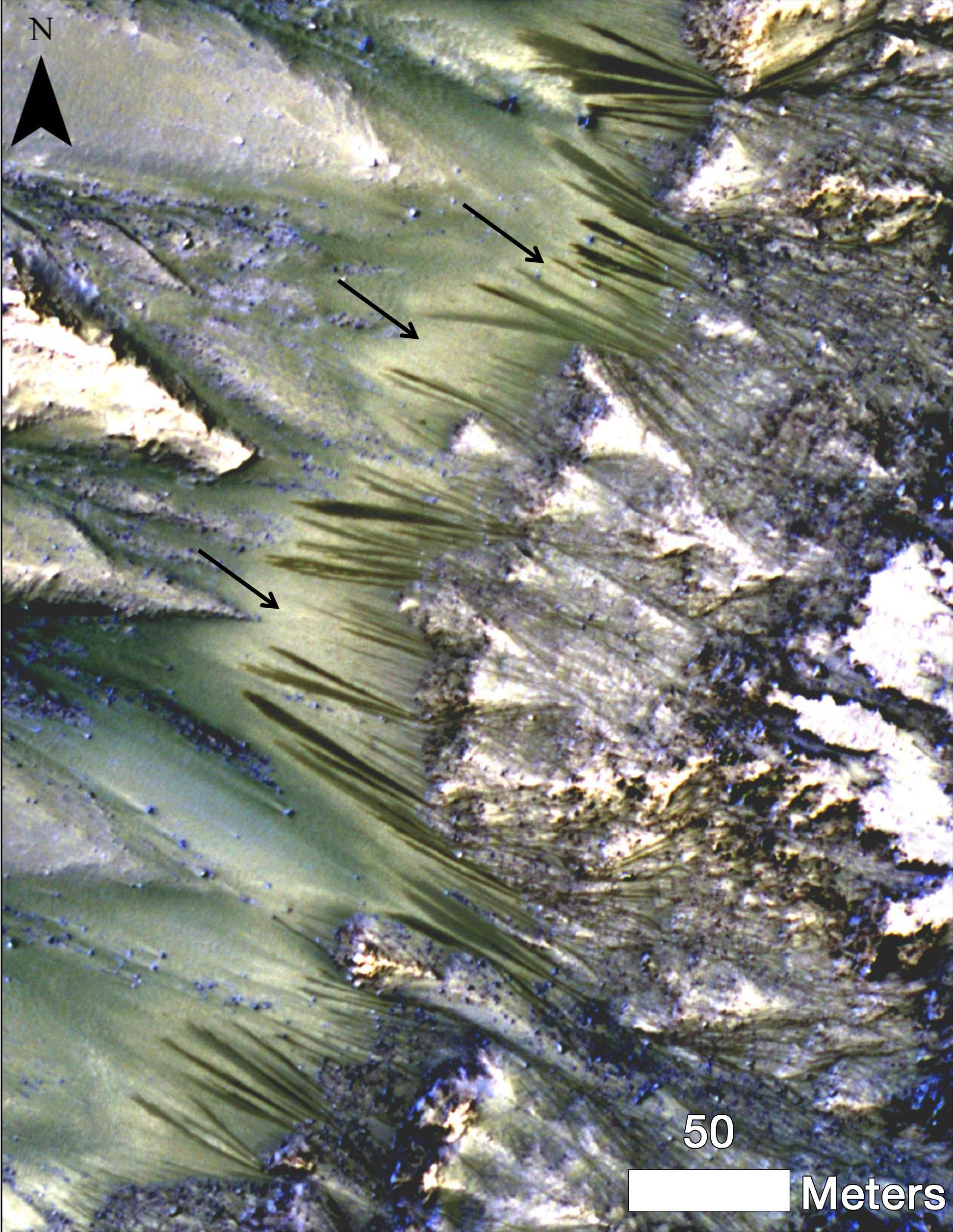 Warm-Season Flows on Martian Slope