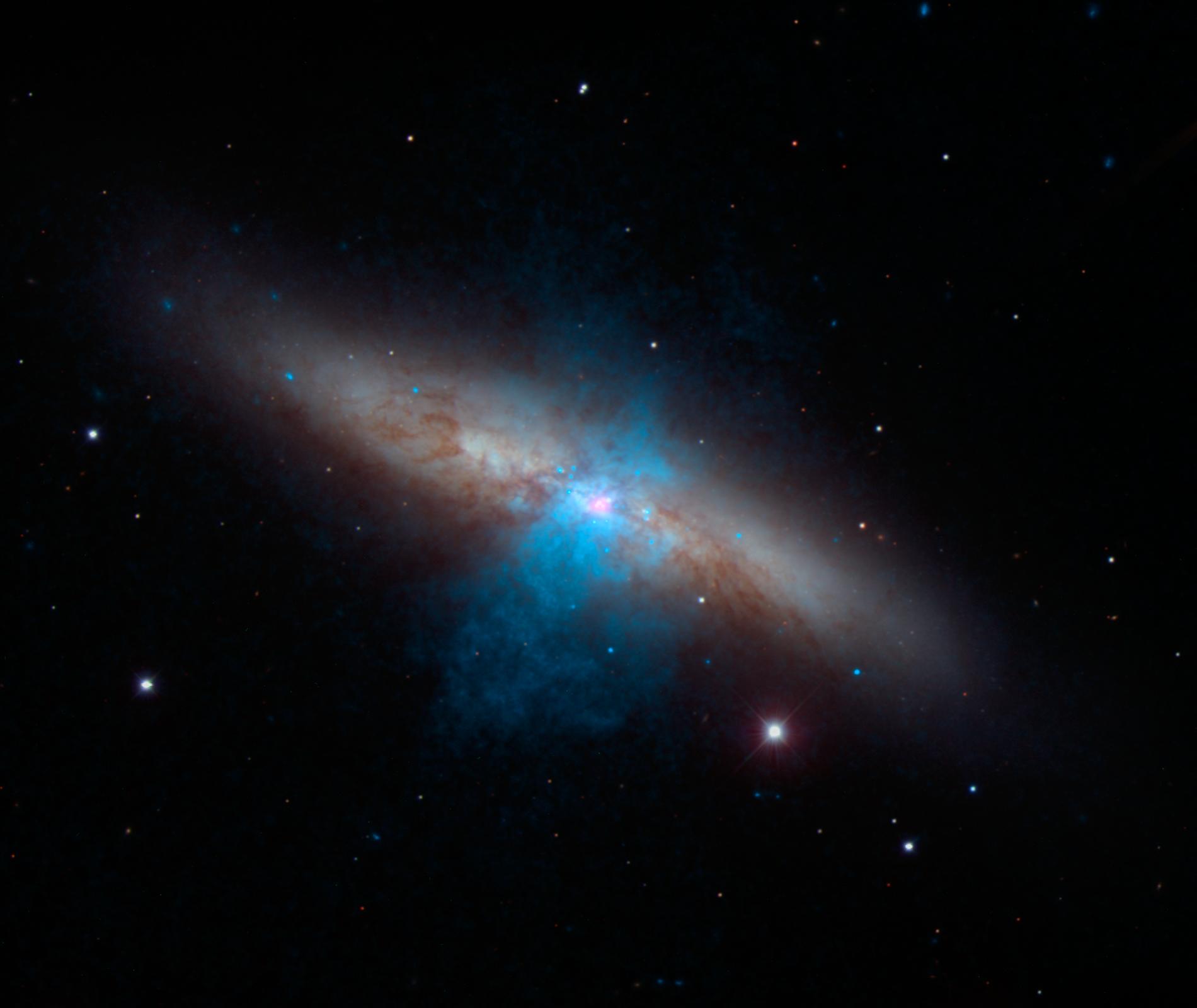 NuSTAR Finds a Pulse in Cigar Galaxy