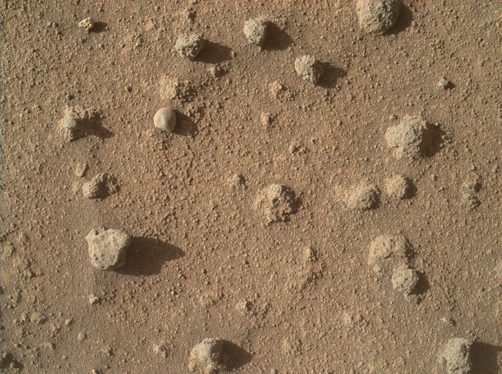 Nodules of Cemented Sand Grains Within Martian Sandstone