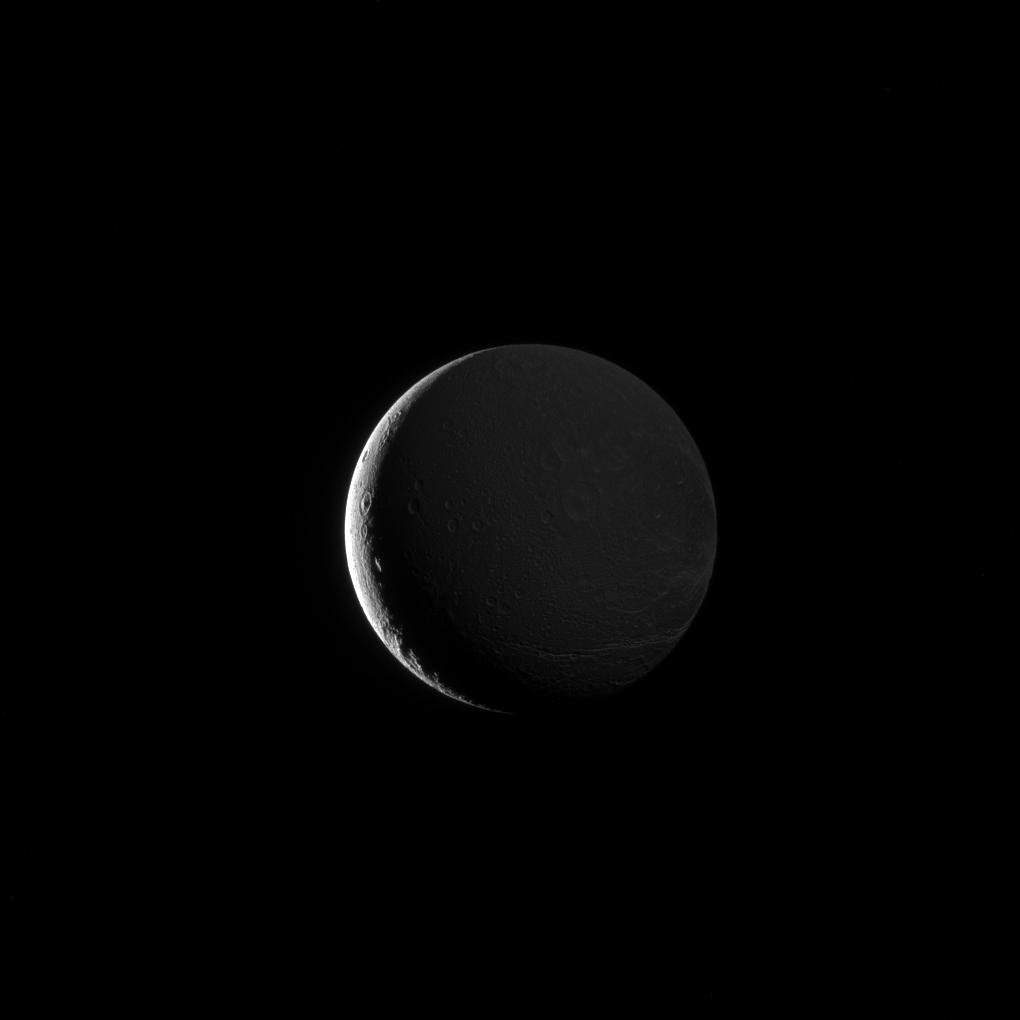 Coy Dione