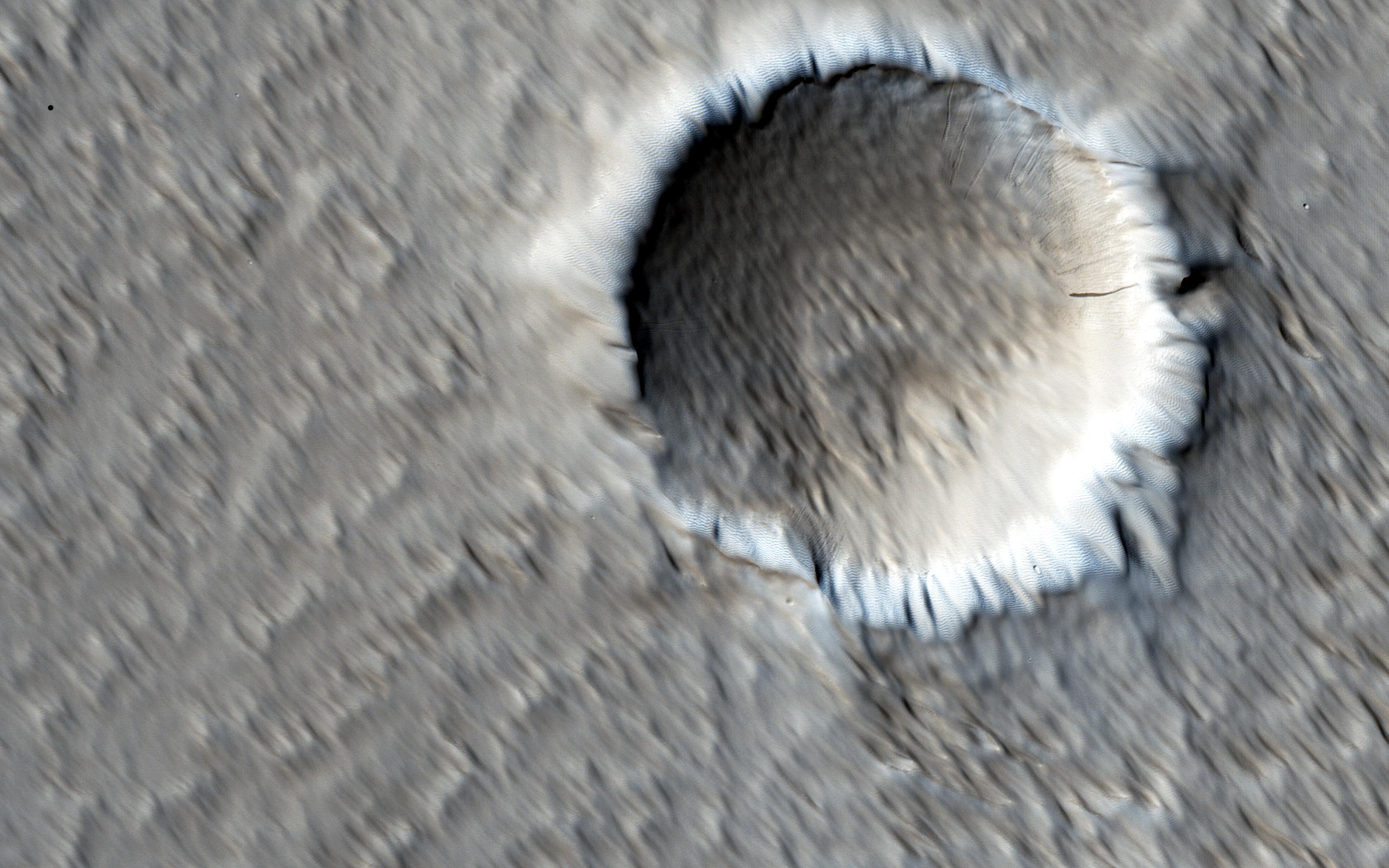 The Wind-Scoured Lava Flows of Pavonis Mons