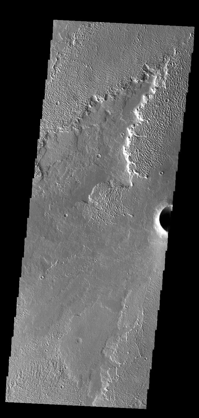 Daedalia Planum