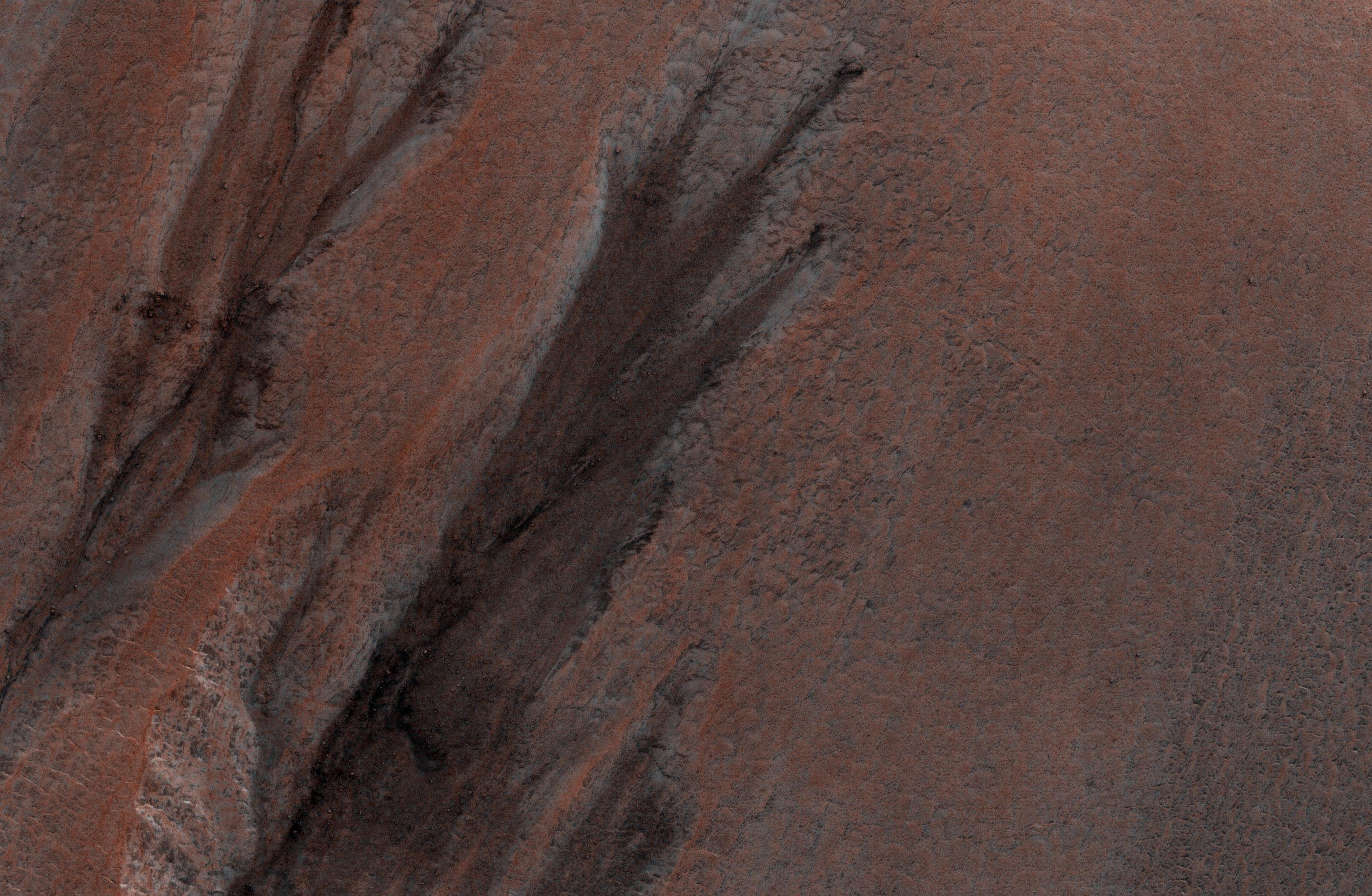 Gullies in Winter Shadow