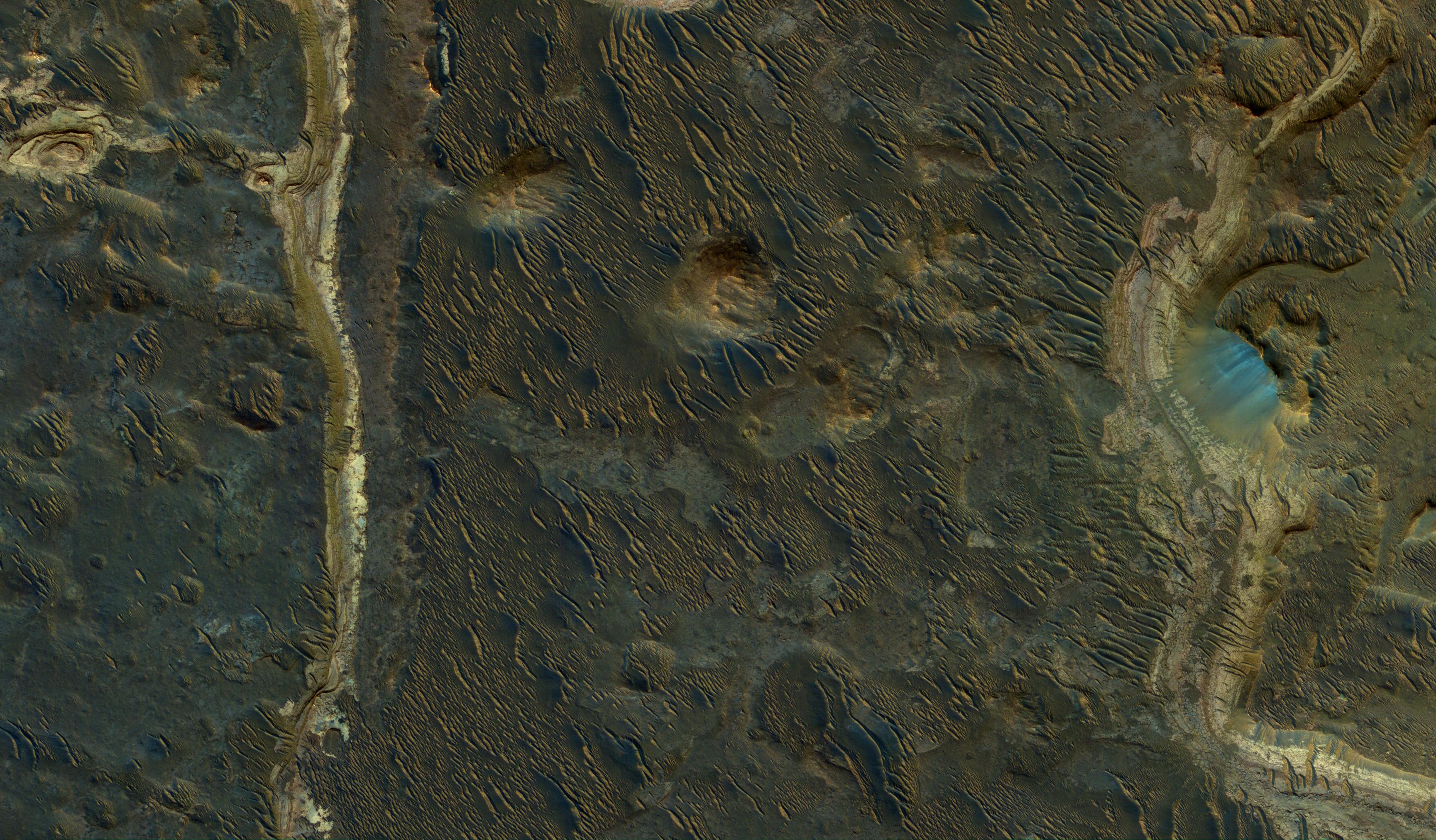 Lakebeds in Holden Crater
