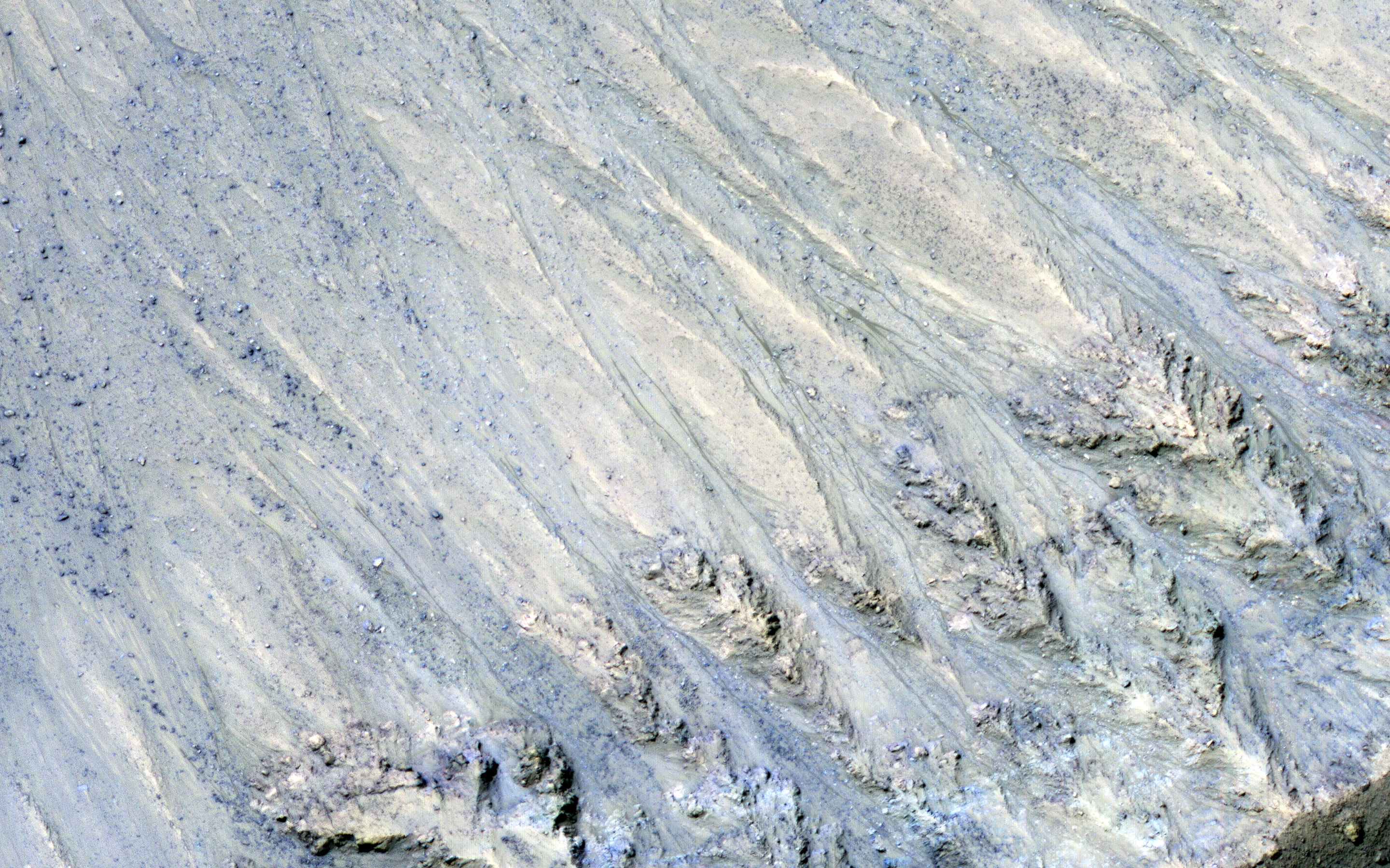 Transient Slope Lineae Formation in a Well-Preserved Crater