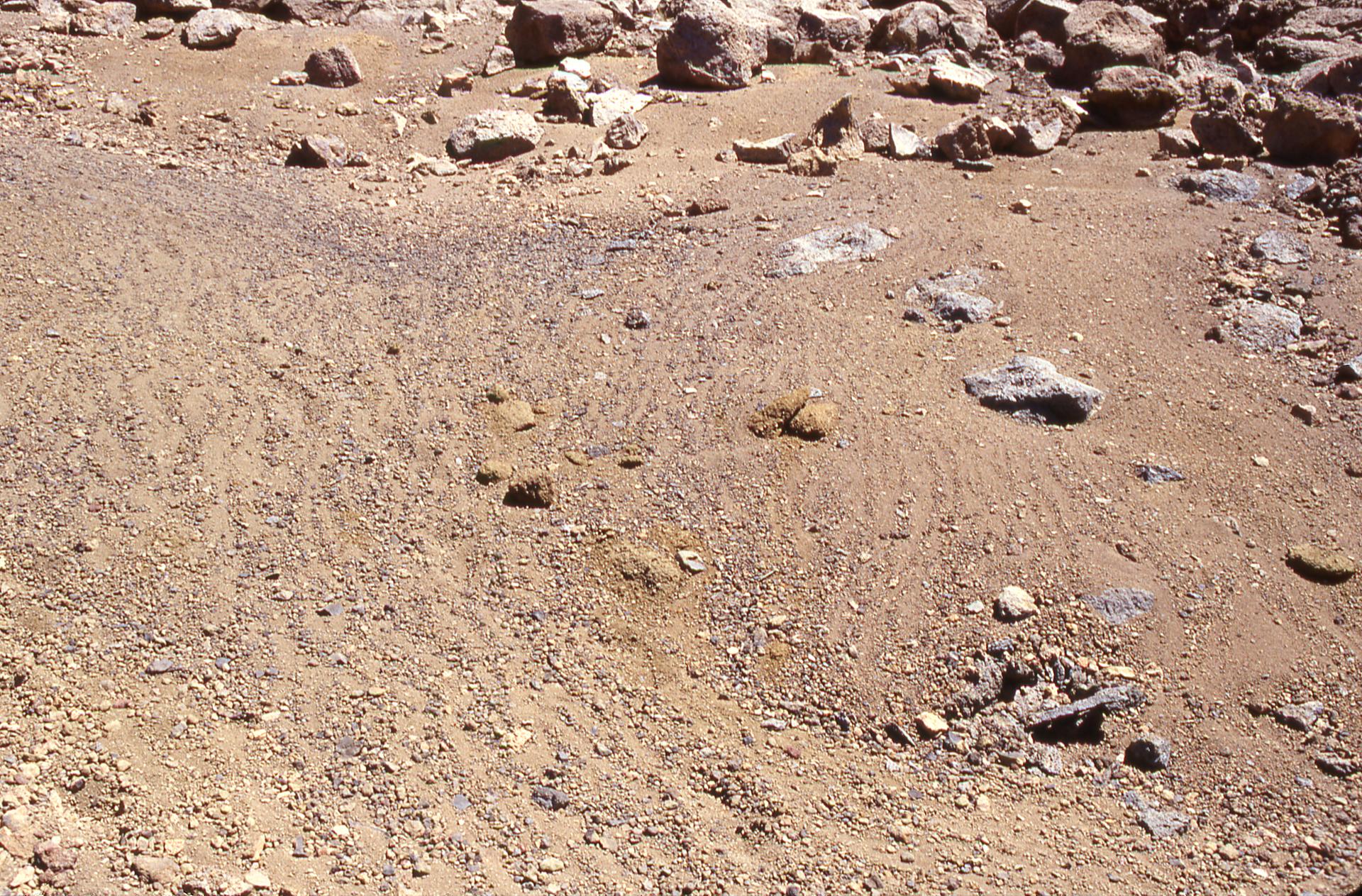 Rock Stripe Pattern on Hawaii's Mauna Kea