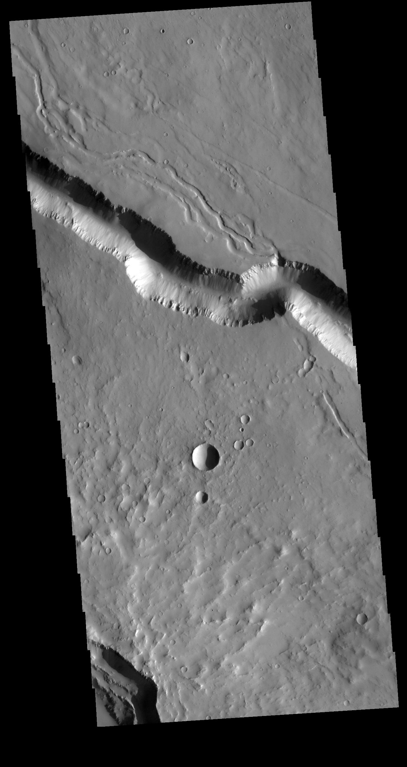 Elysium Fossae