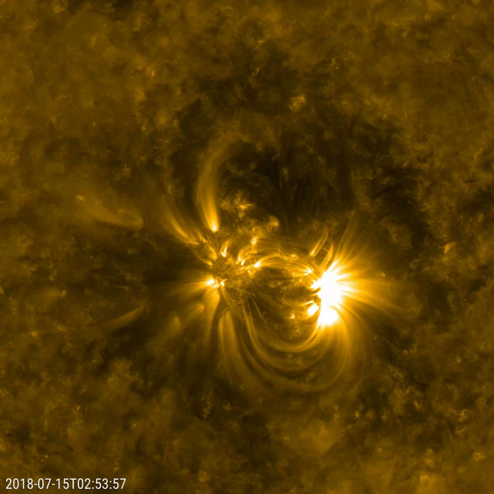 Detailed Loops Above an Active Region