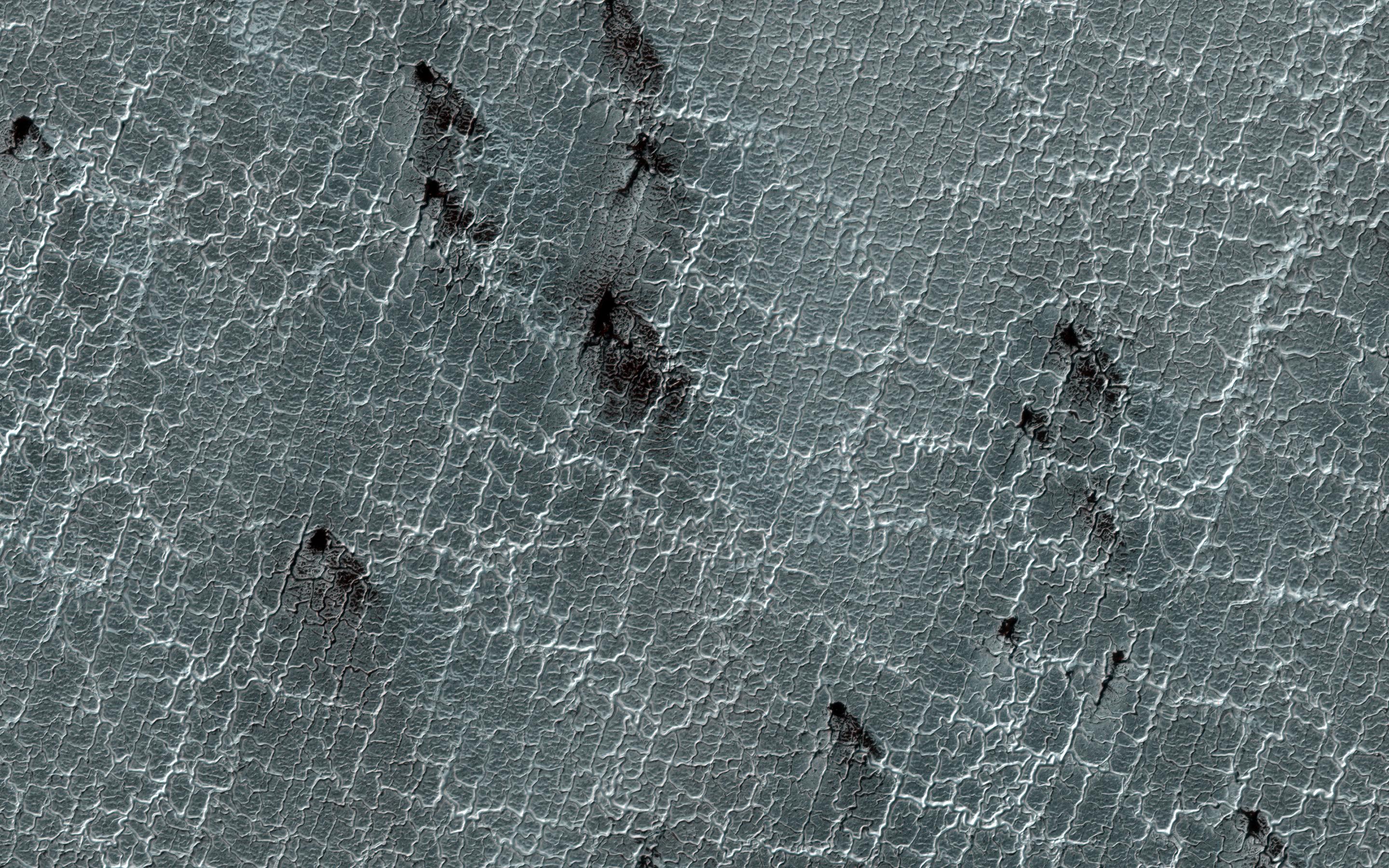 The Enduring Charm of Martian Spiders