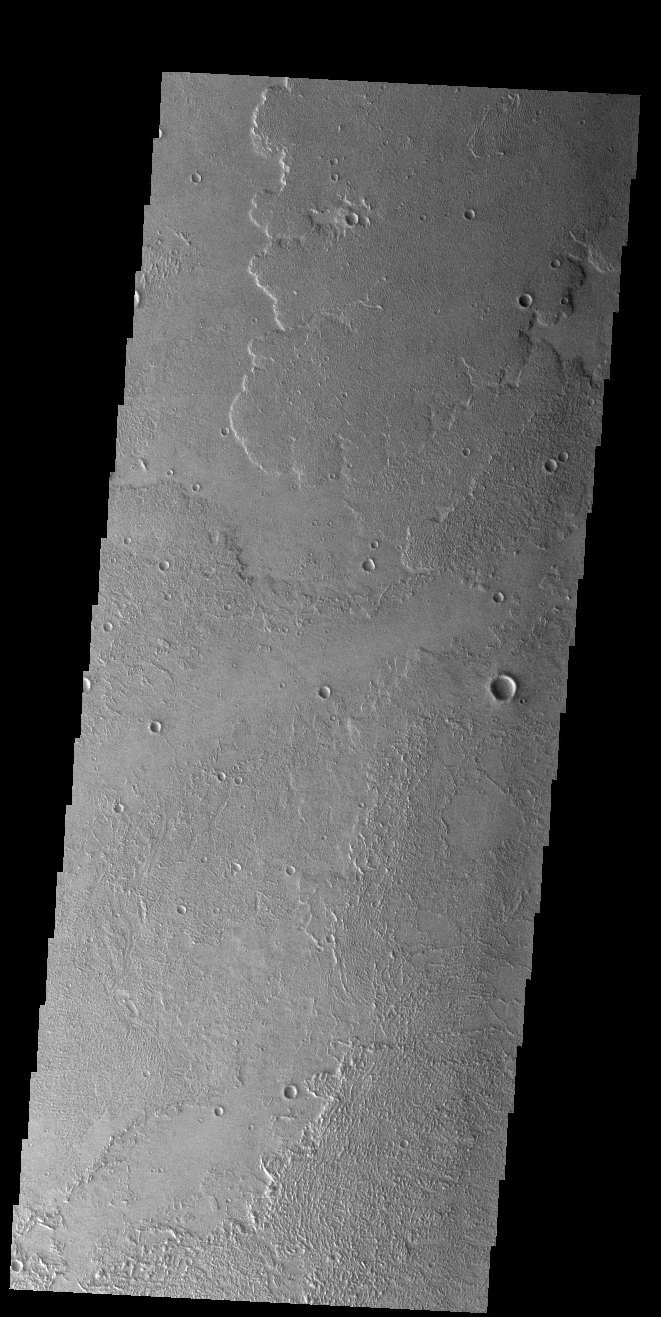 Daedalia Planum