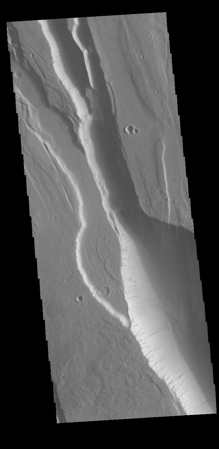 Elysium Chasma