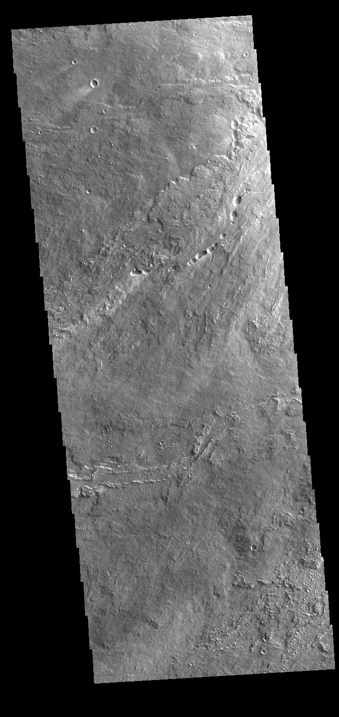 Daedalia Planum