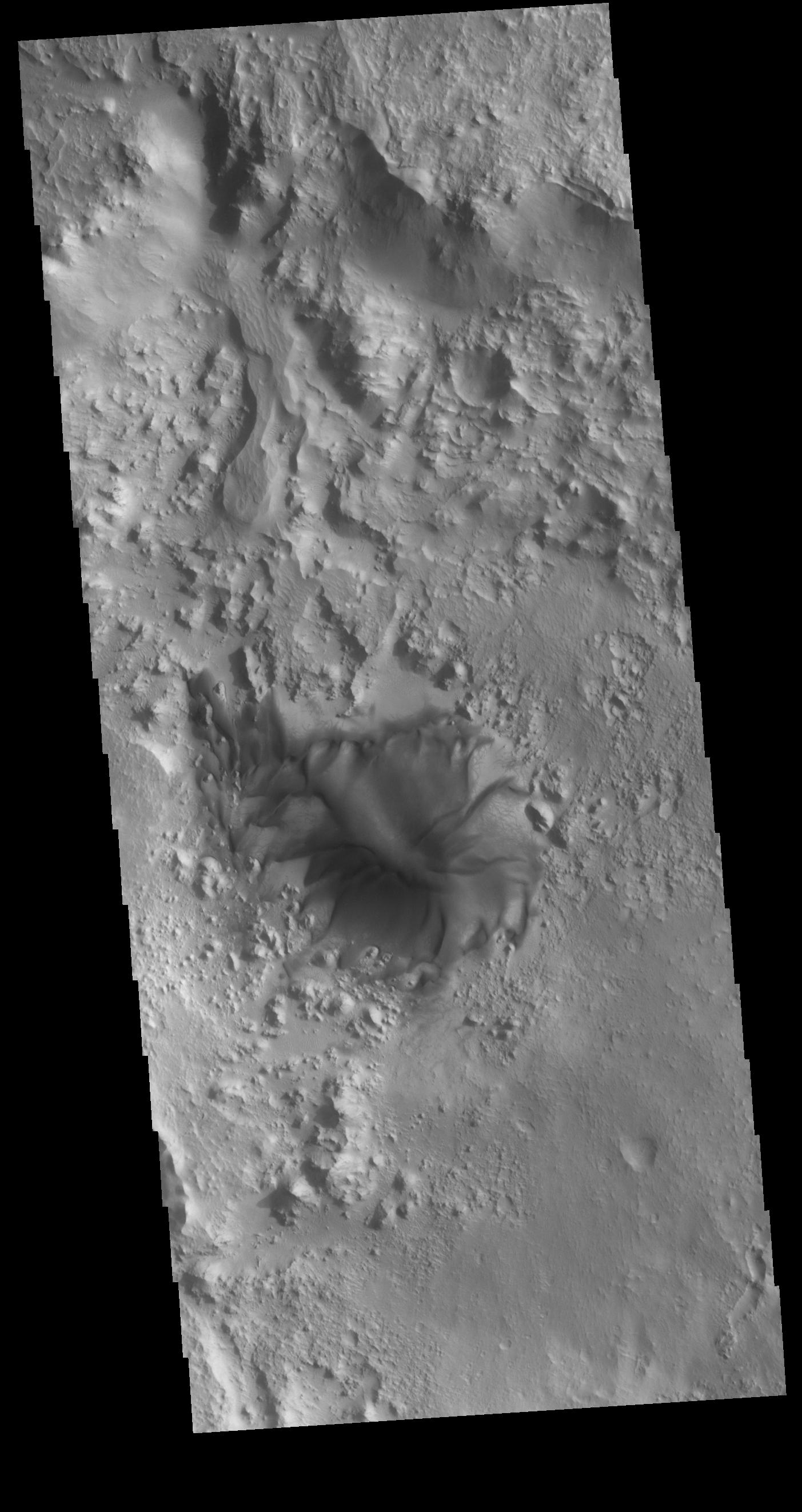 Terra Sabaea Dune