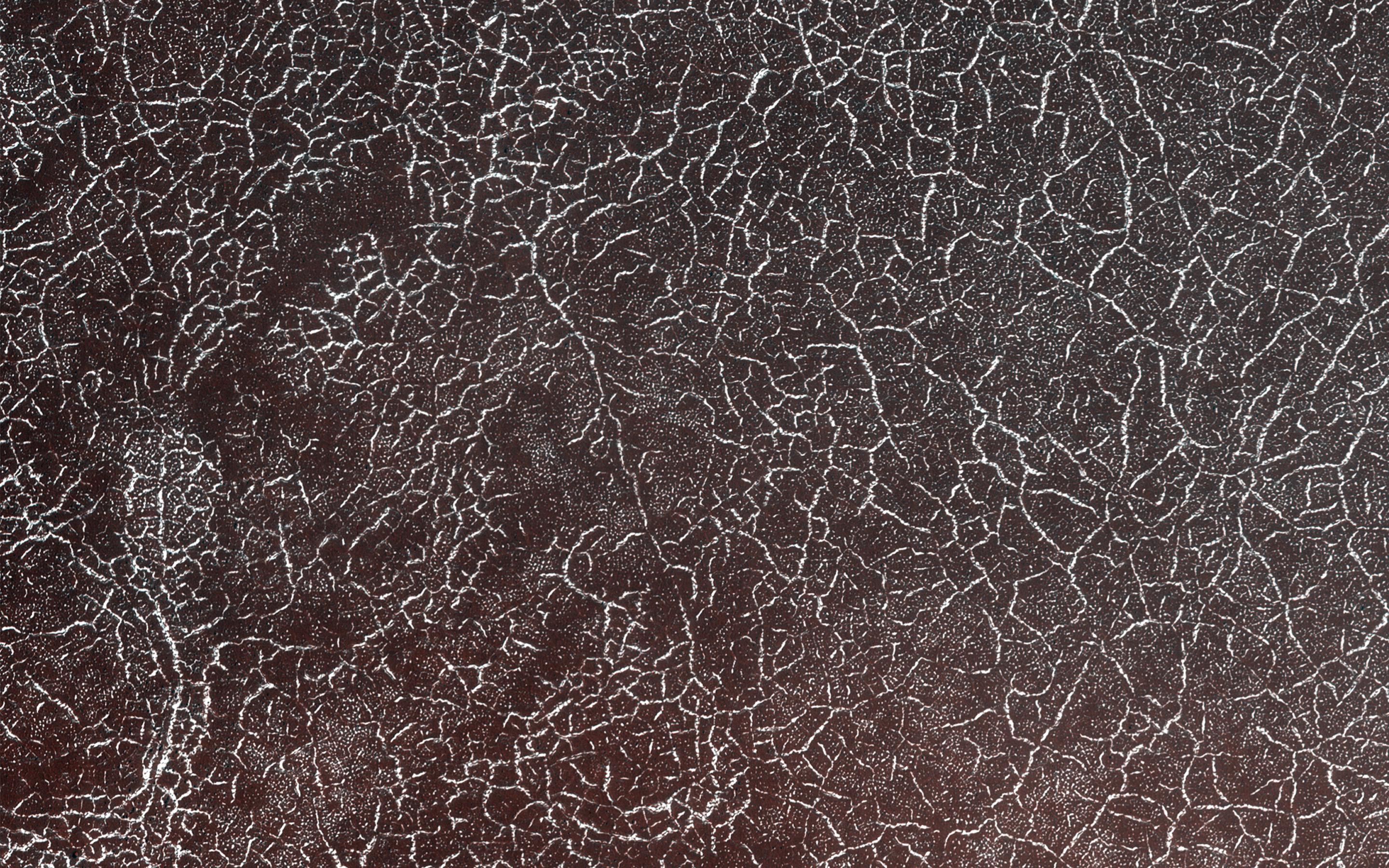 Polygonal Patterns Highlighted by Frost