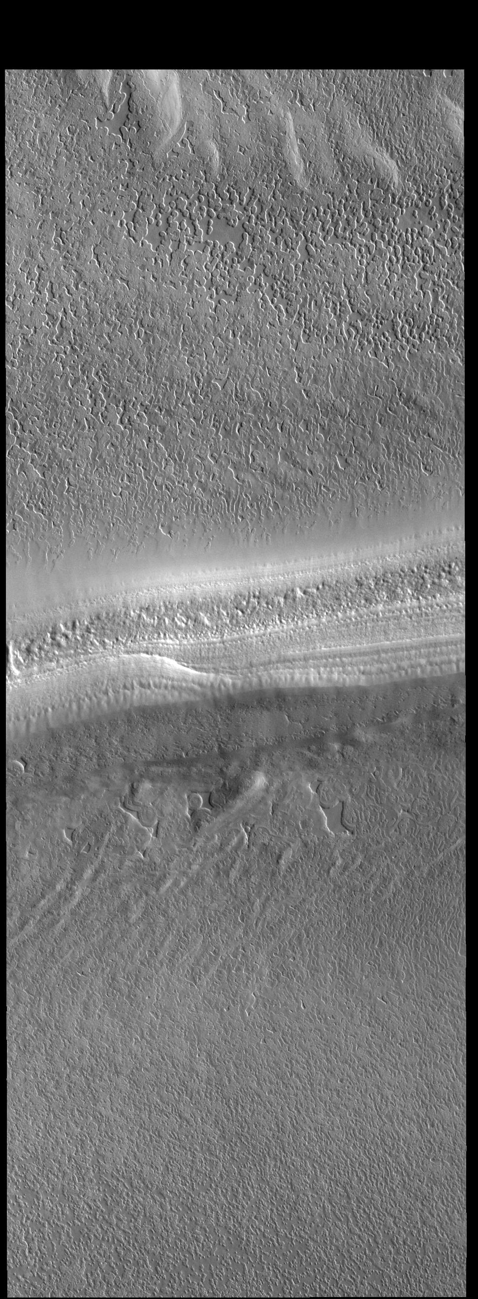 South Polar Cap