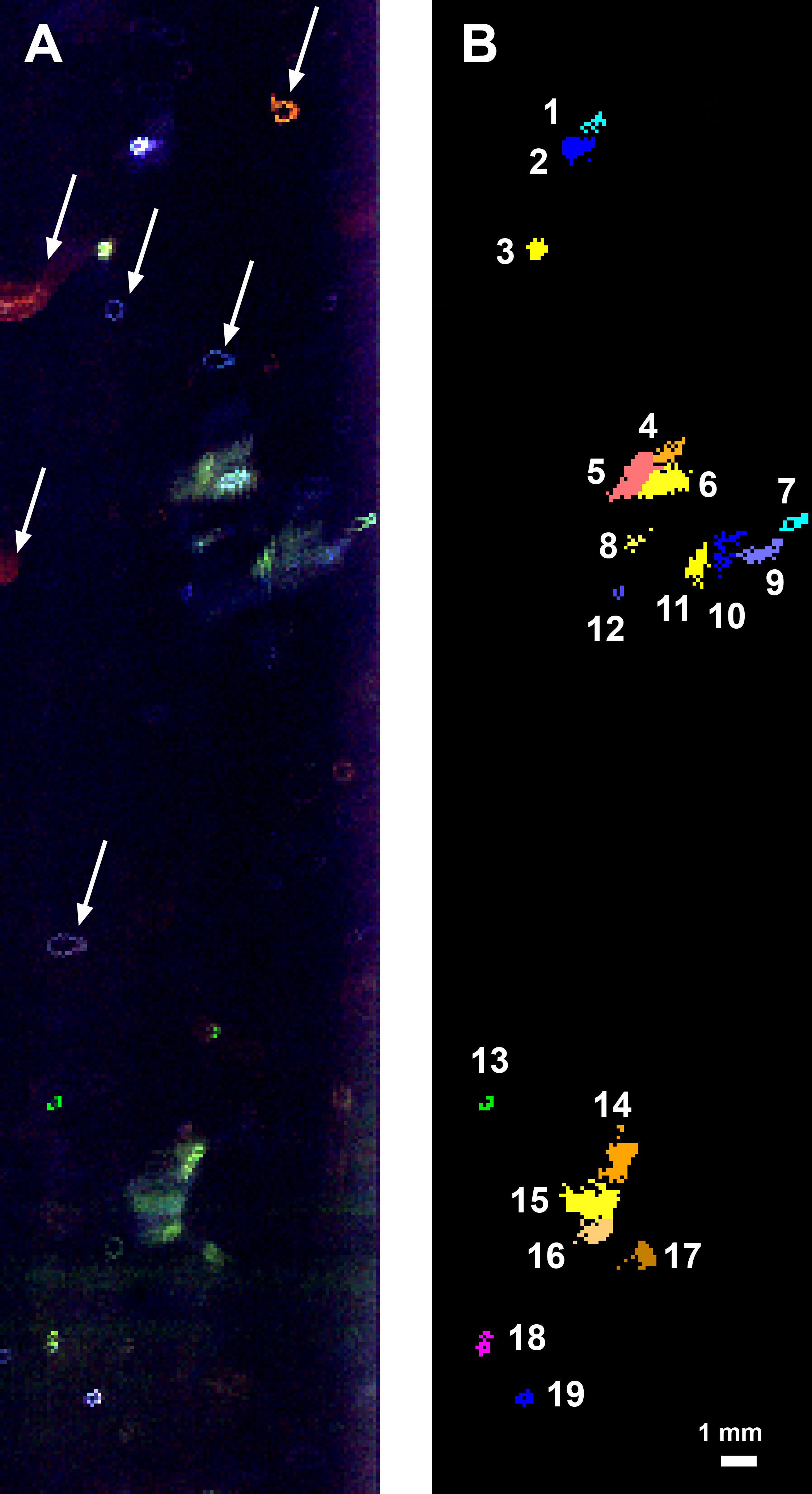 Fluorescence Map of a Greenland Borehole