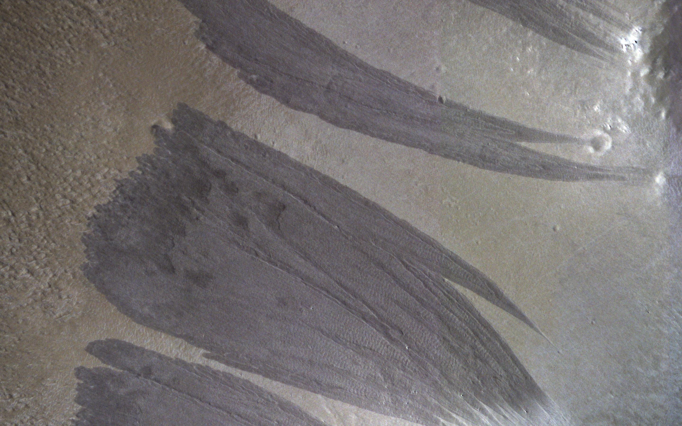 A Martian Dust Avalanche