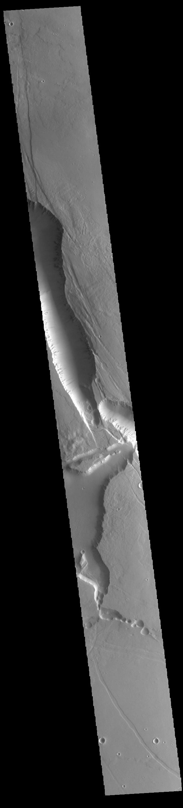 Elysium Chasma