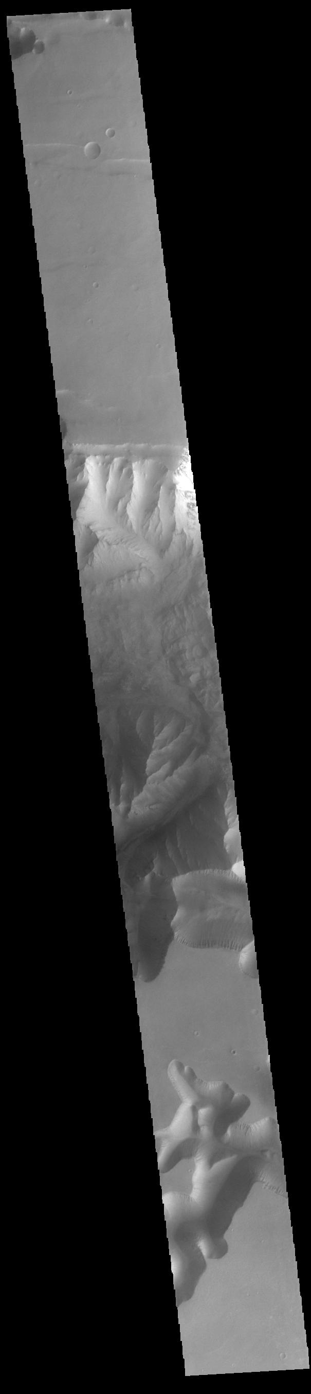Ius Chasma