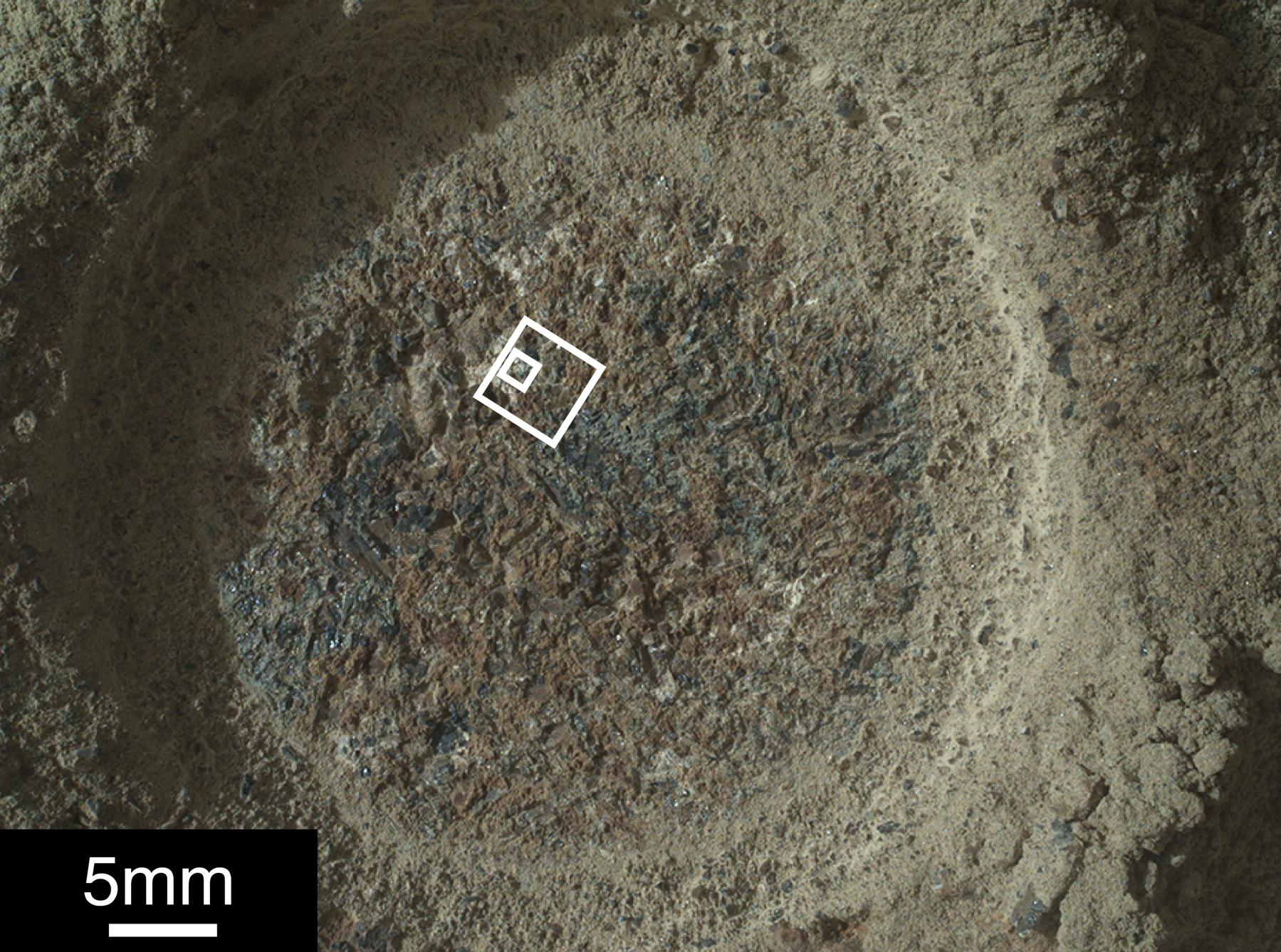 Perseverance Rover's SHERLOC Studies 'Quartier'