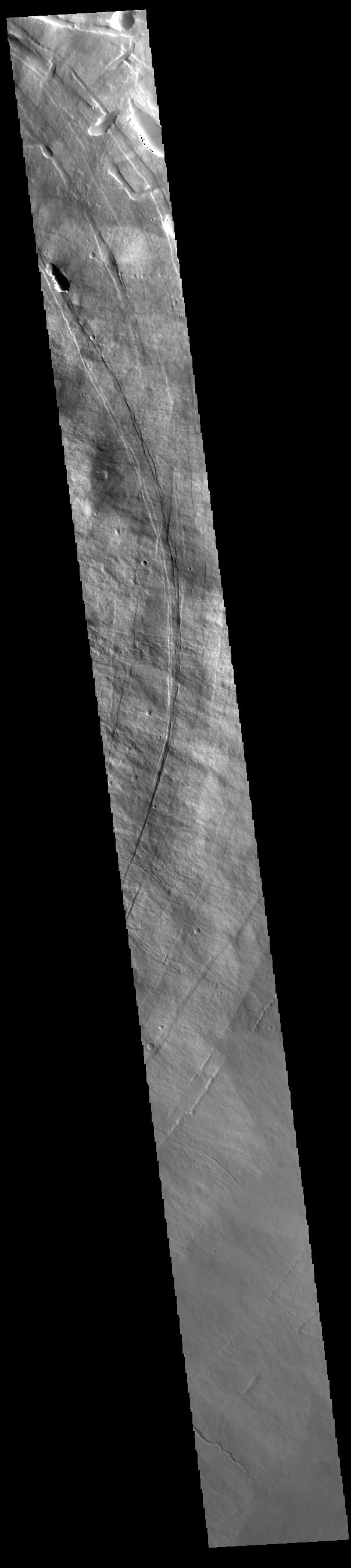 Pavonis Mons